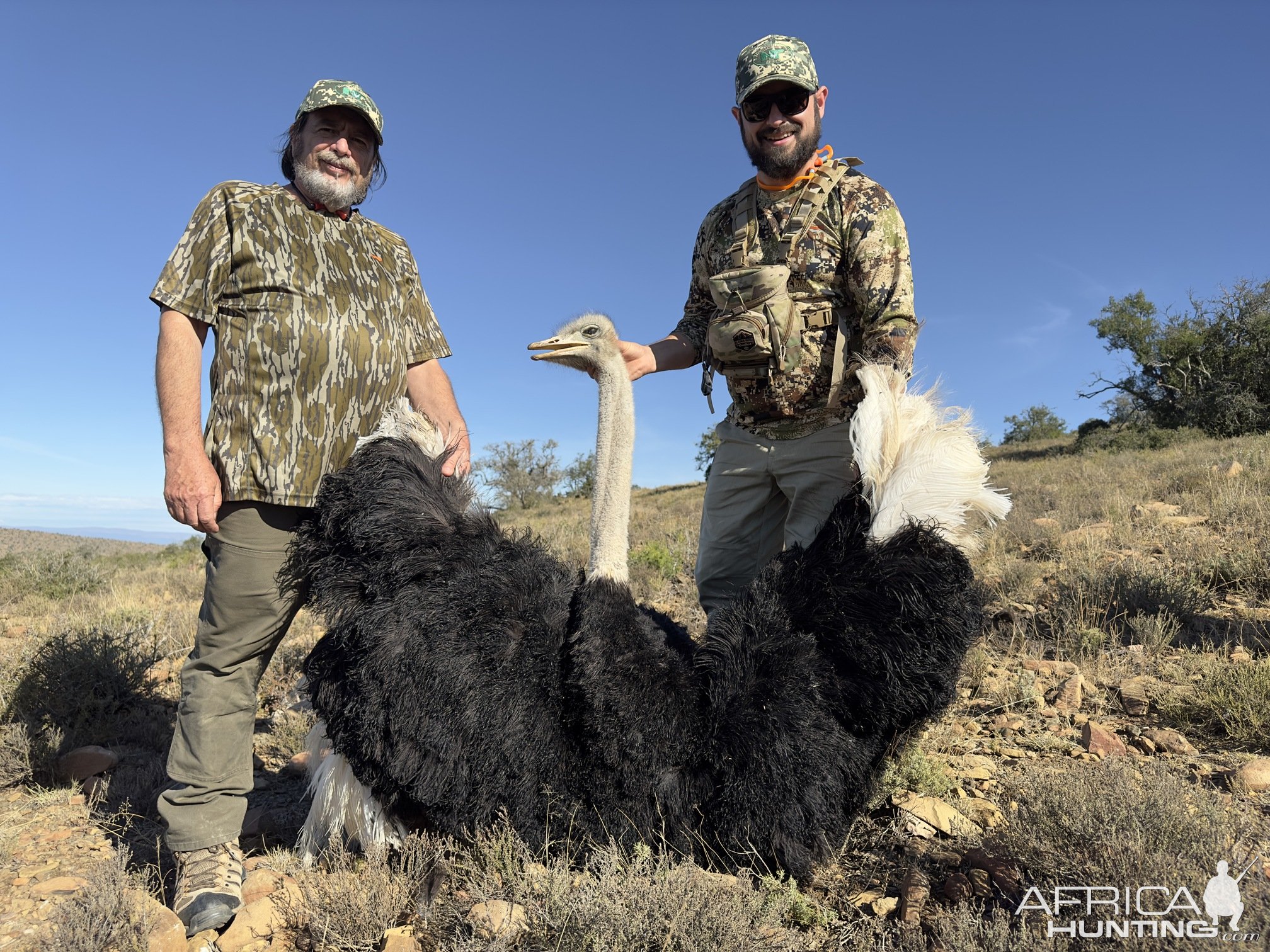 Ostrich Hunting Eastern Cape South Africa