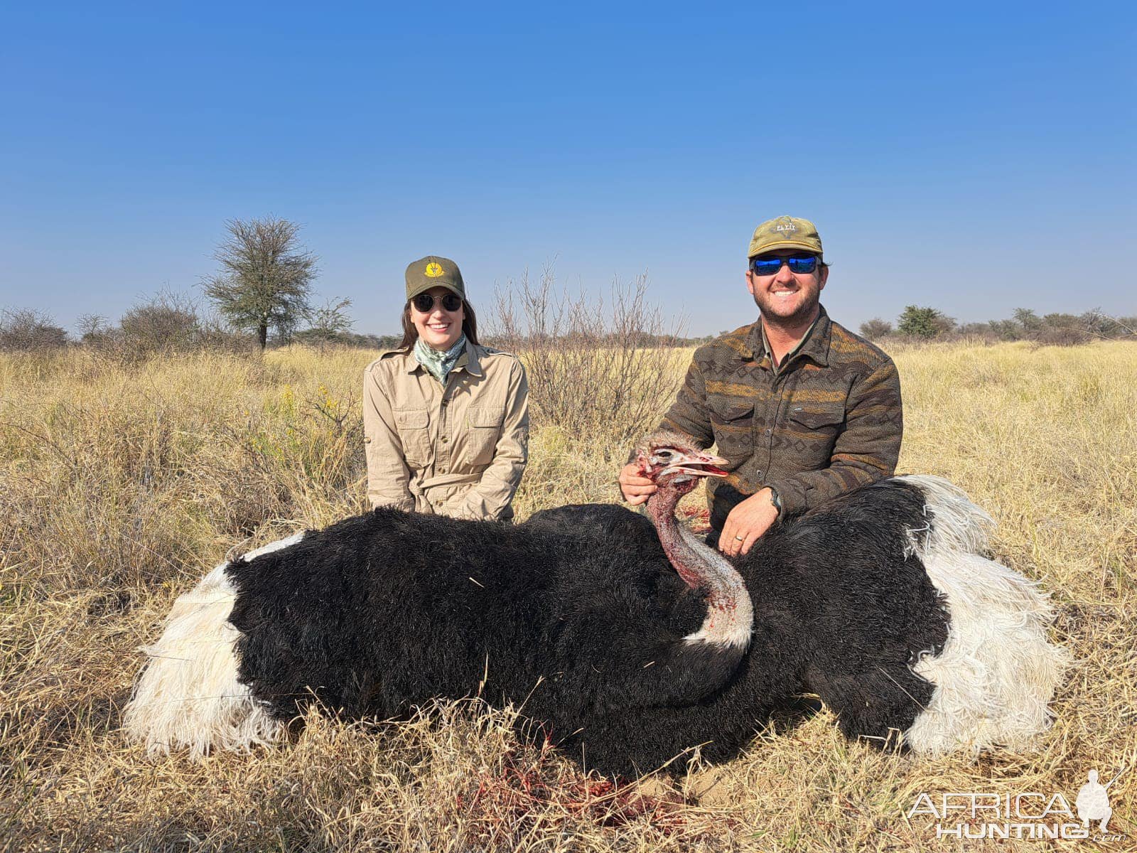 Ostrich Hunting Kalahari South Africa