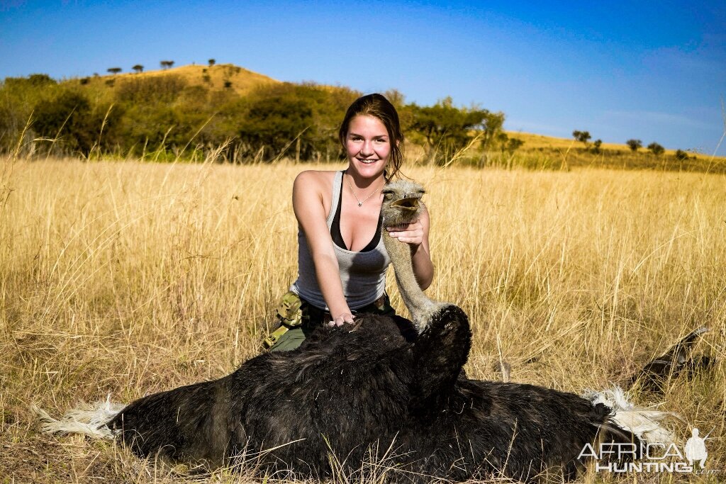 Ostrich Hunting South Africa