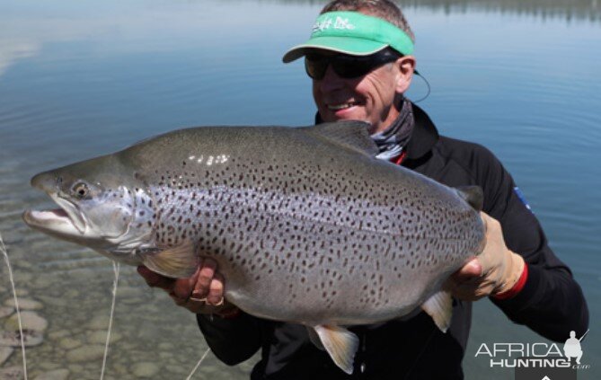 Otago Trout New Zealand