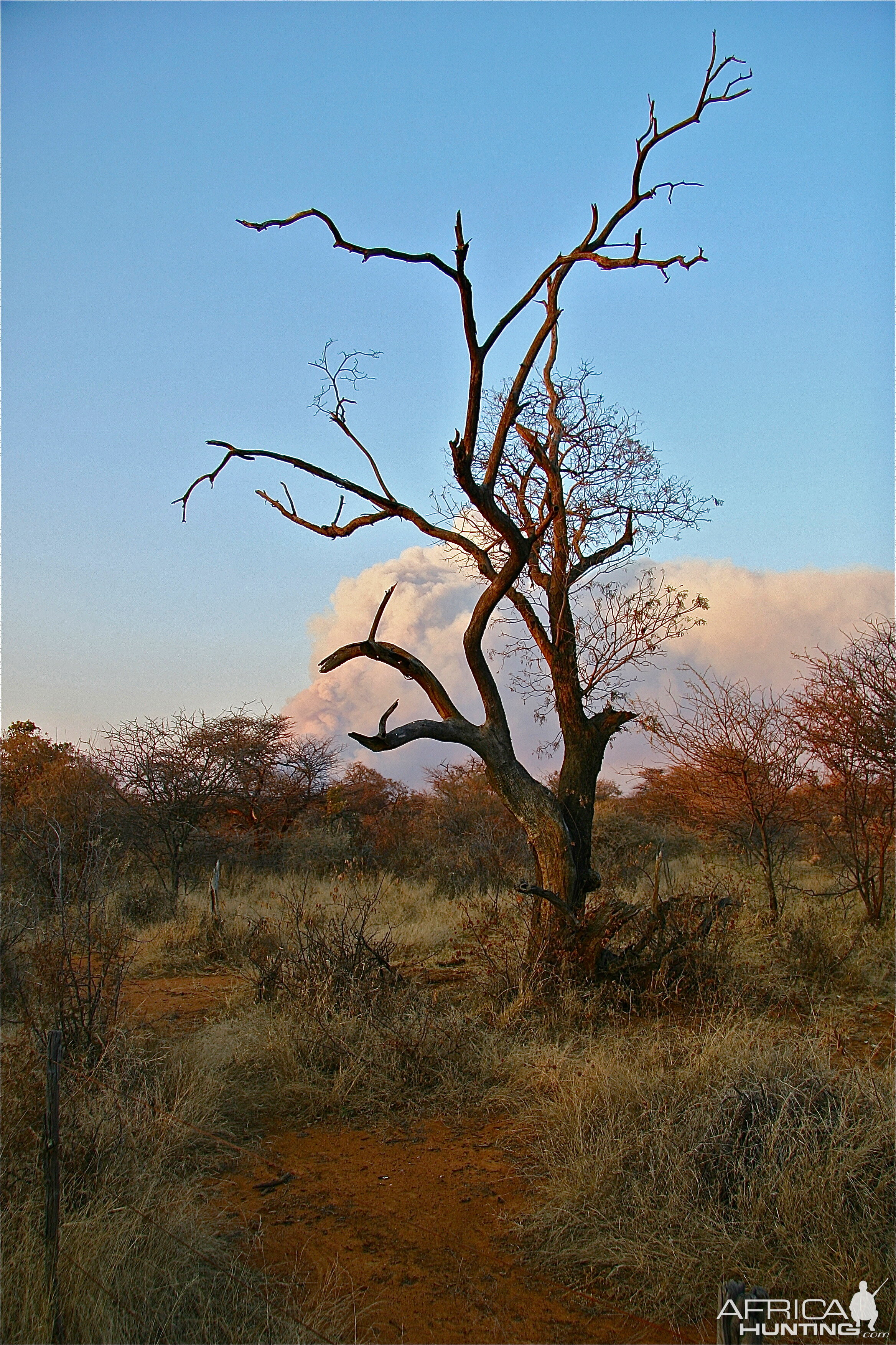 Otavi Mountains Burn