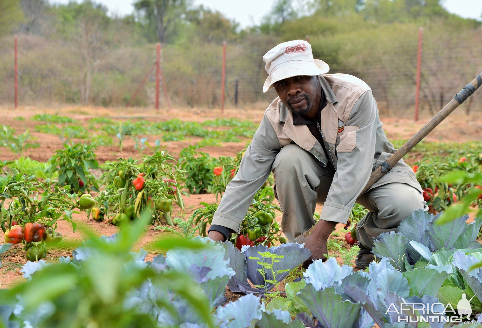 Our Organic Garden South Africa