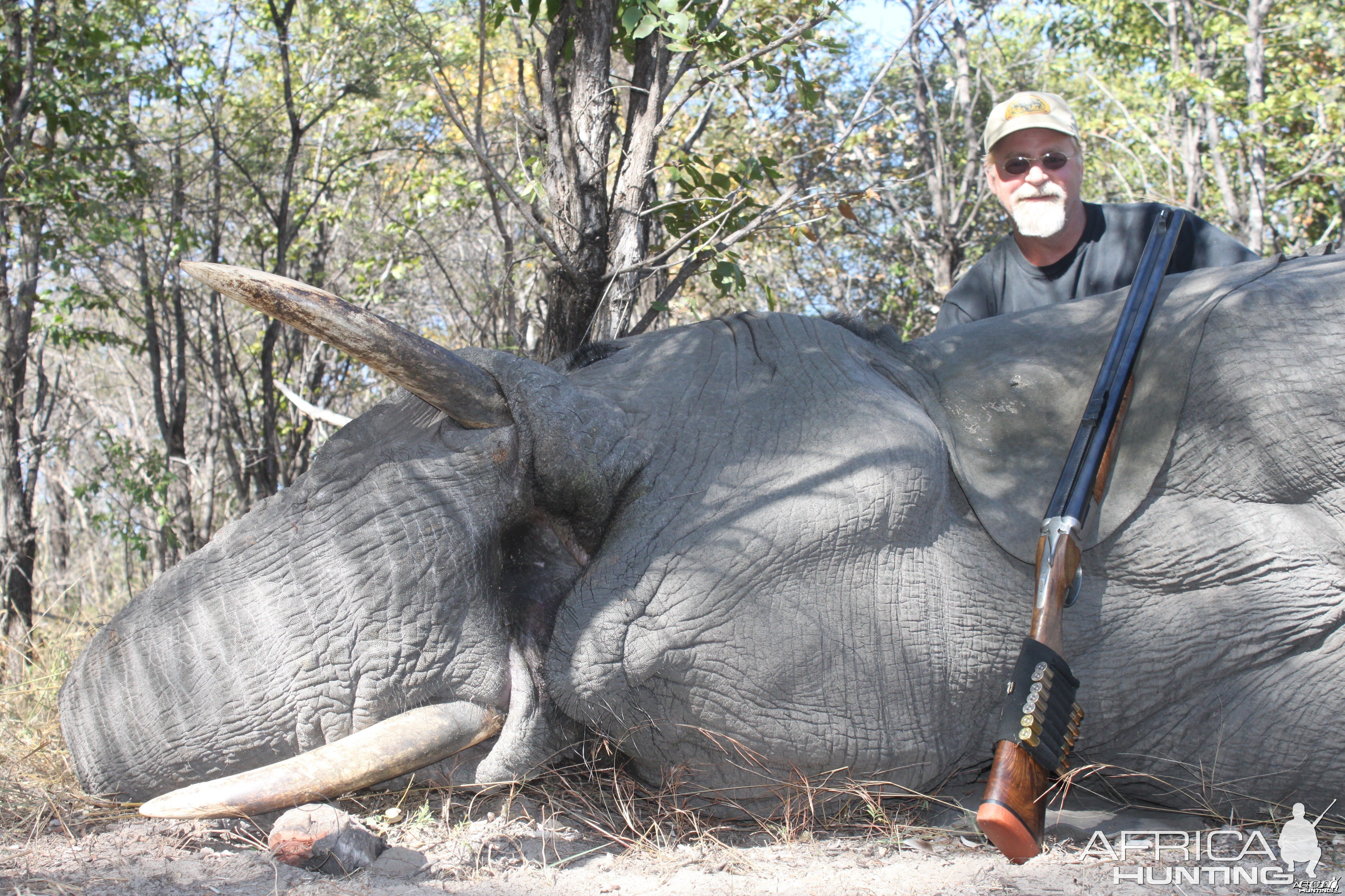 Own use bull taken with Ndumo Safaris in the Caprivi, PH Karl Stumpfe