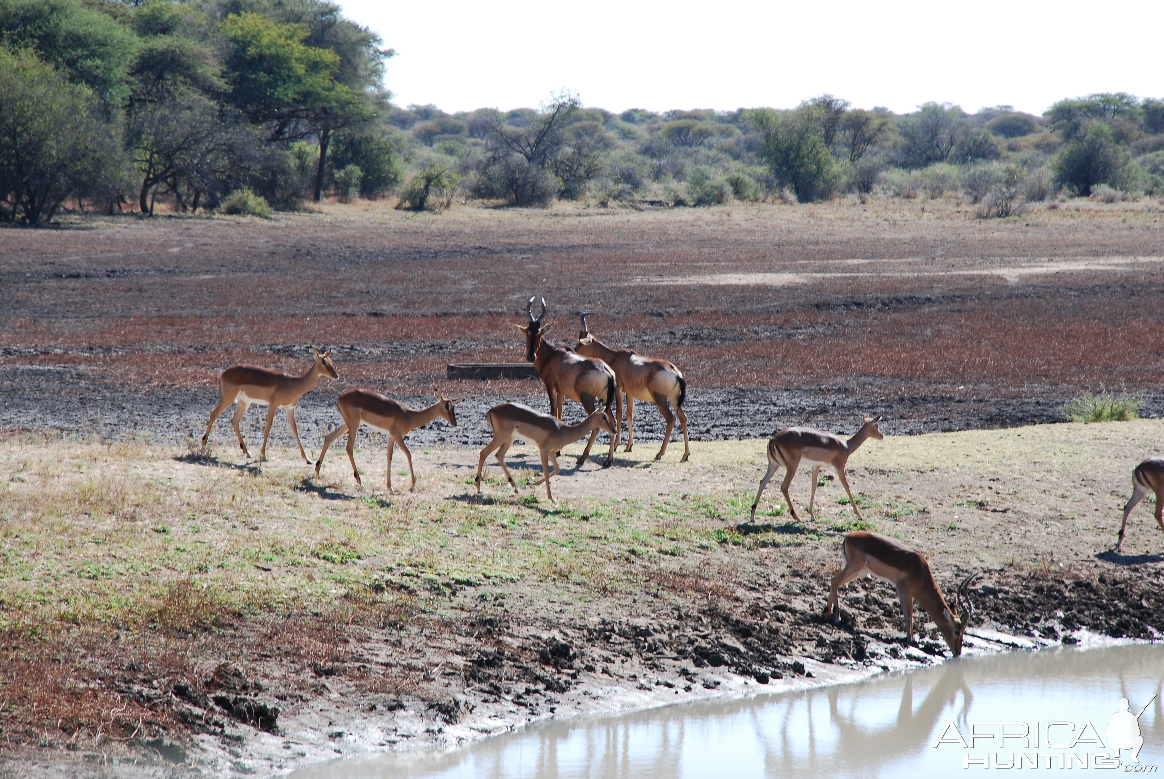 Ozondjahe Hunting Safaris, Namibia