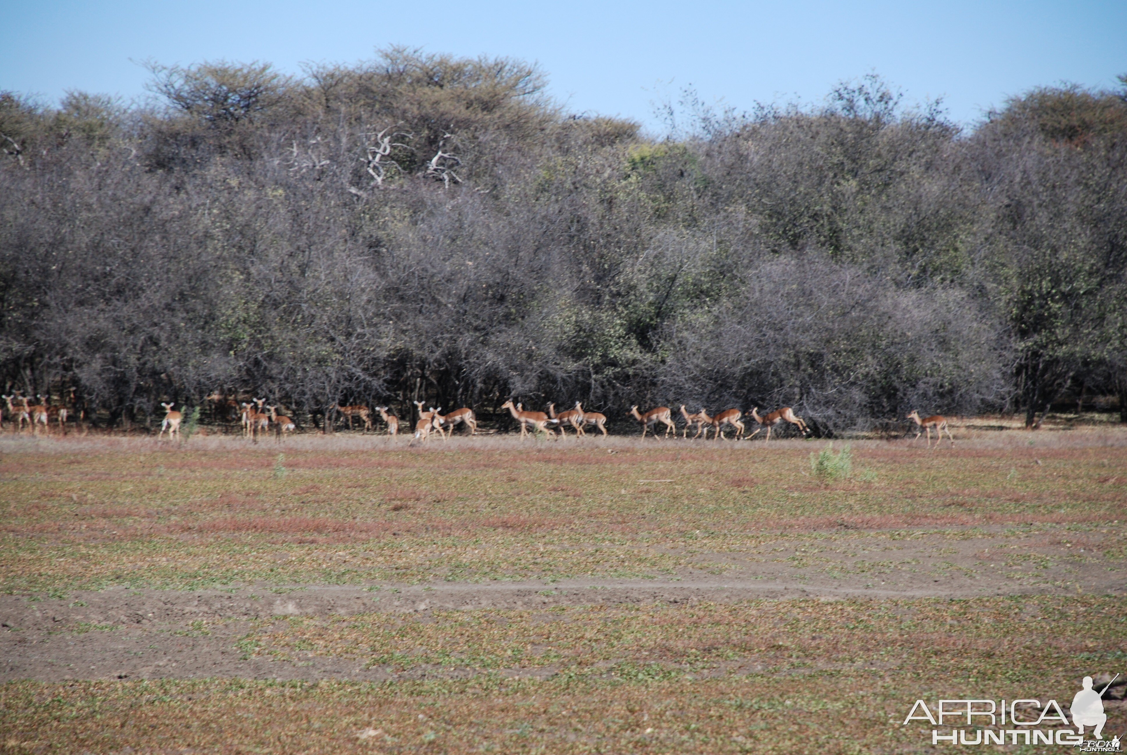 Ozondjahe Hunting Safaris, Namibia