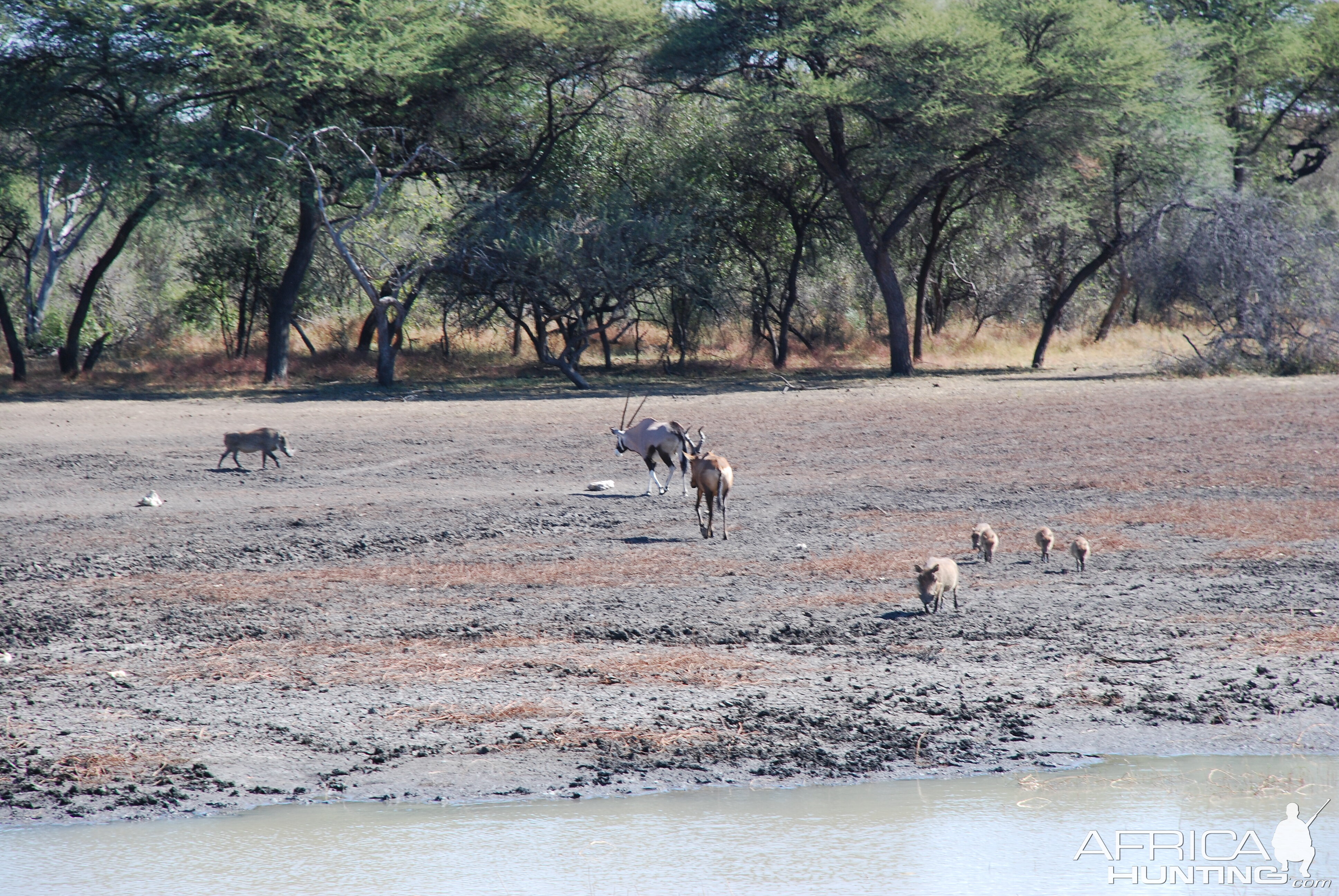 Ozondjahe Hunting Safaris, Namibia