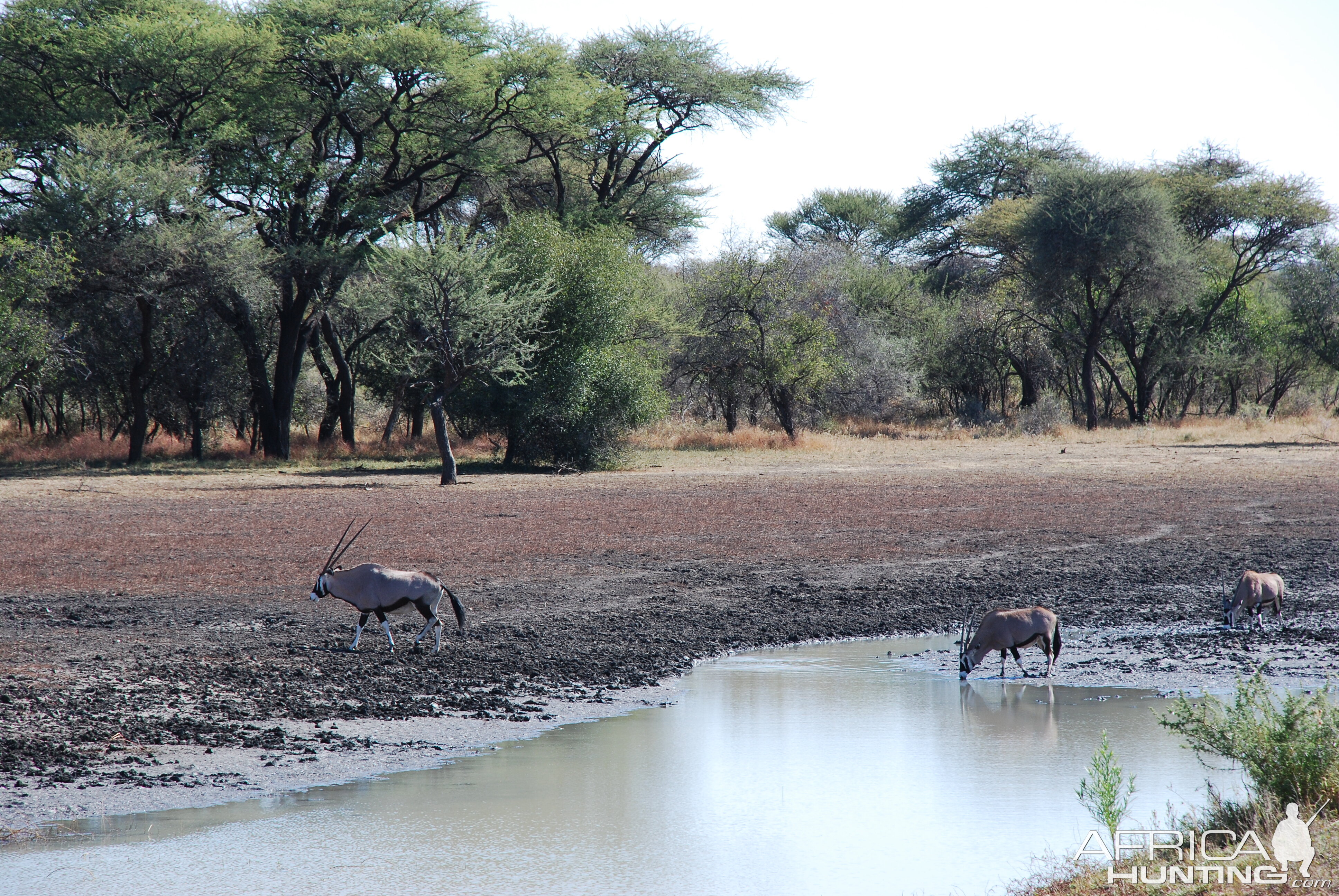 Ozondjahe Hunting Safaris, Namibia