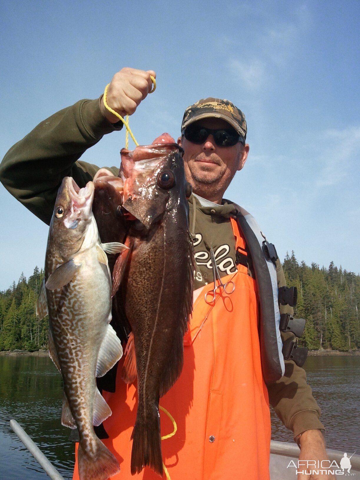 Pacific cod and black rockfish