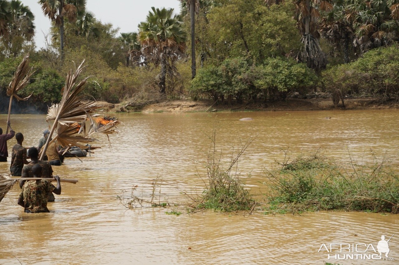 Palm frond are lit on fire, and the raft is pushed towards the dead hippo