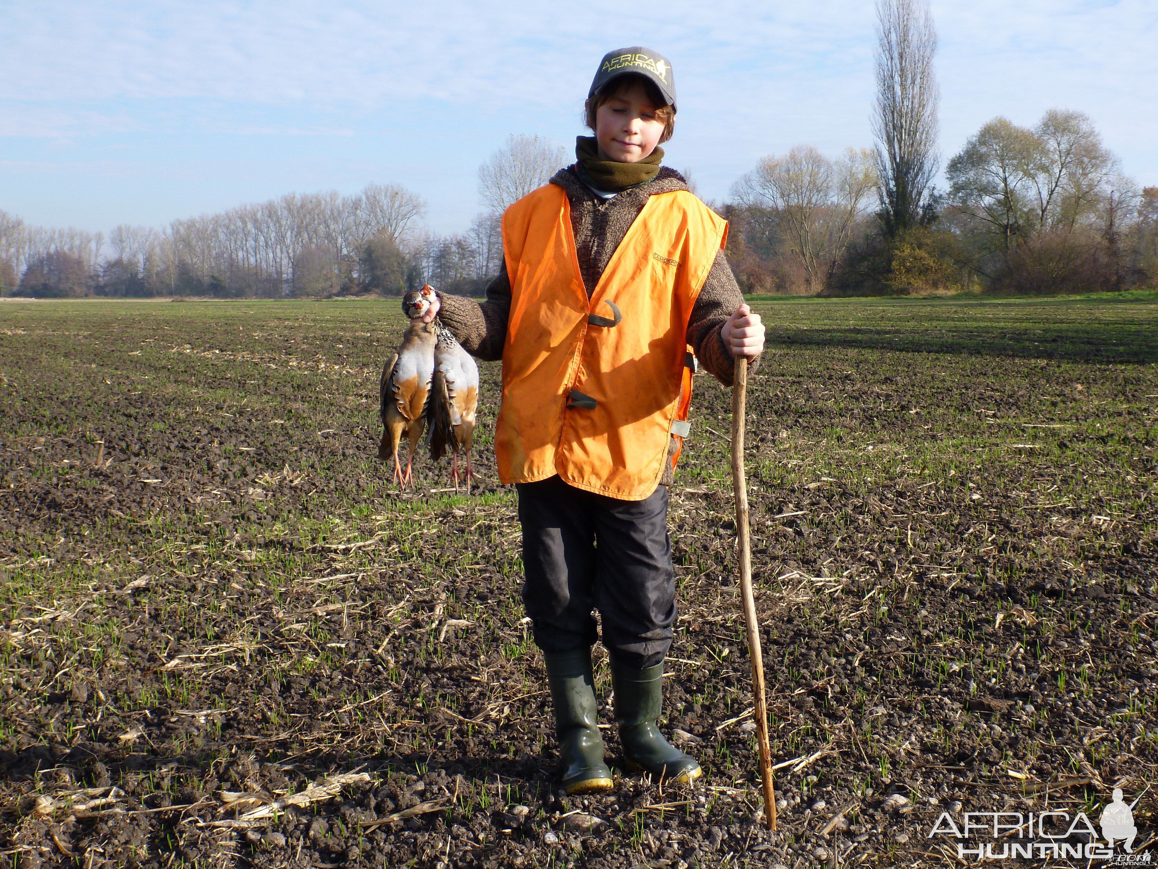 Partridge Hunting in France