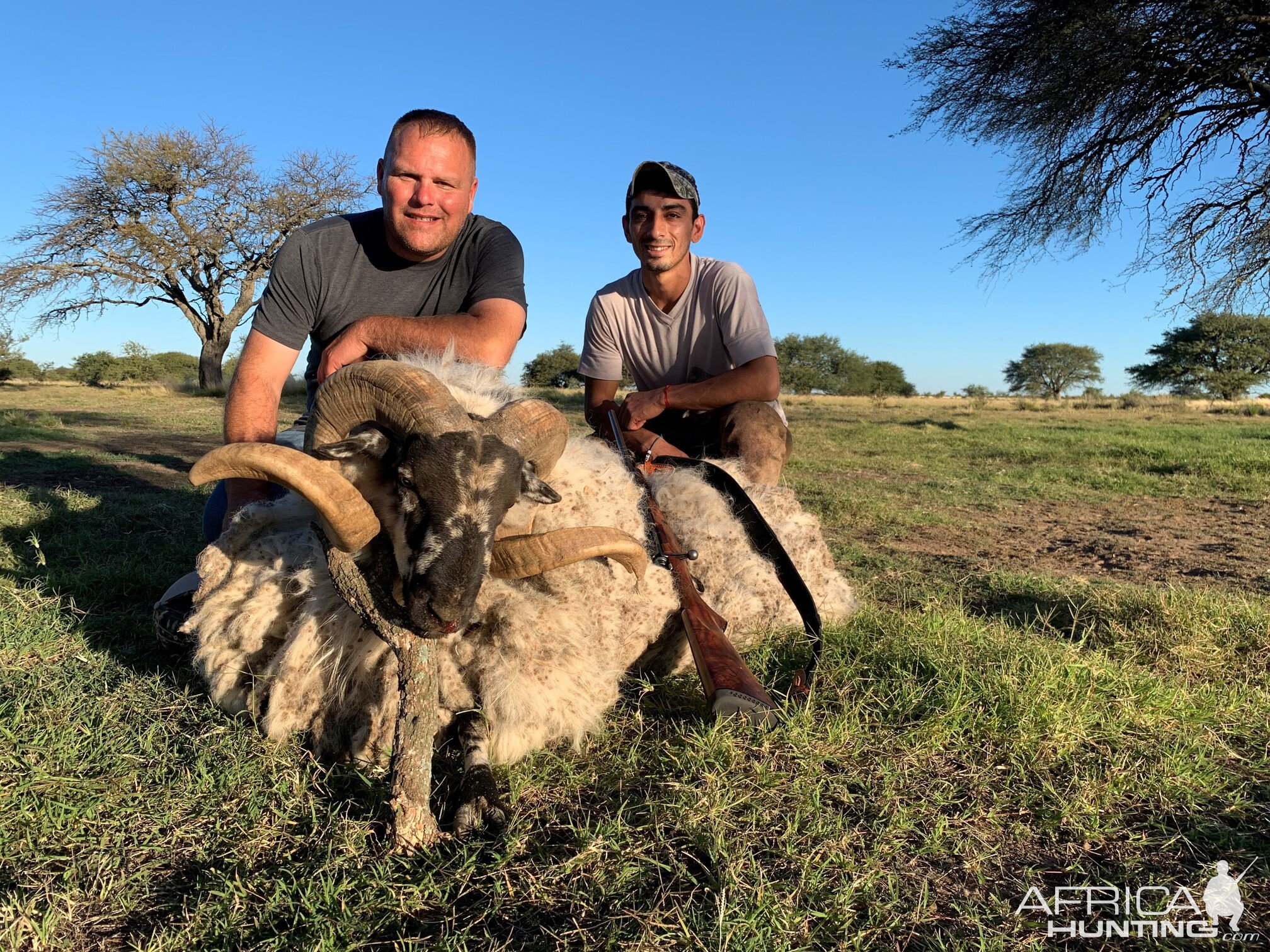 Patagonian Ram Hunting Argentina