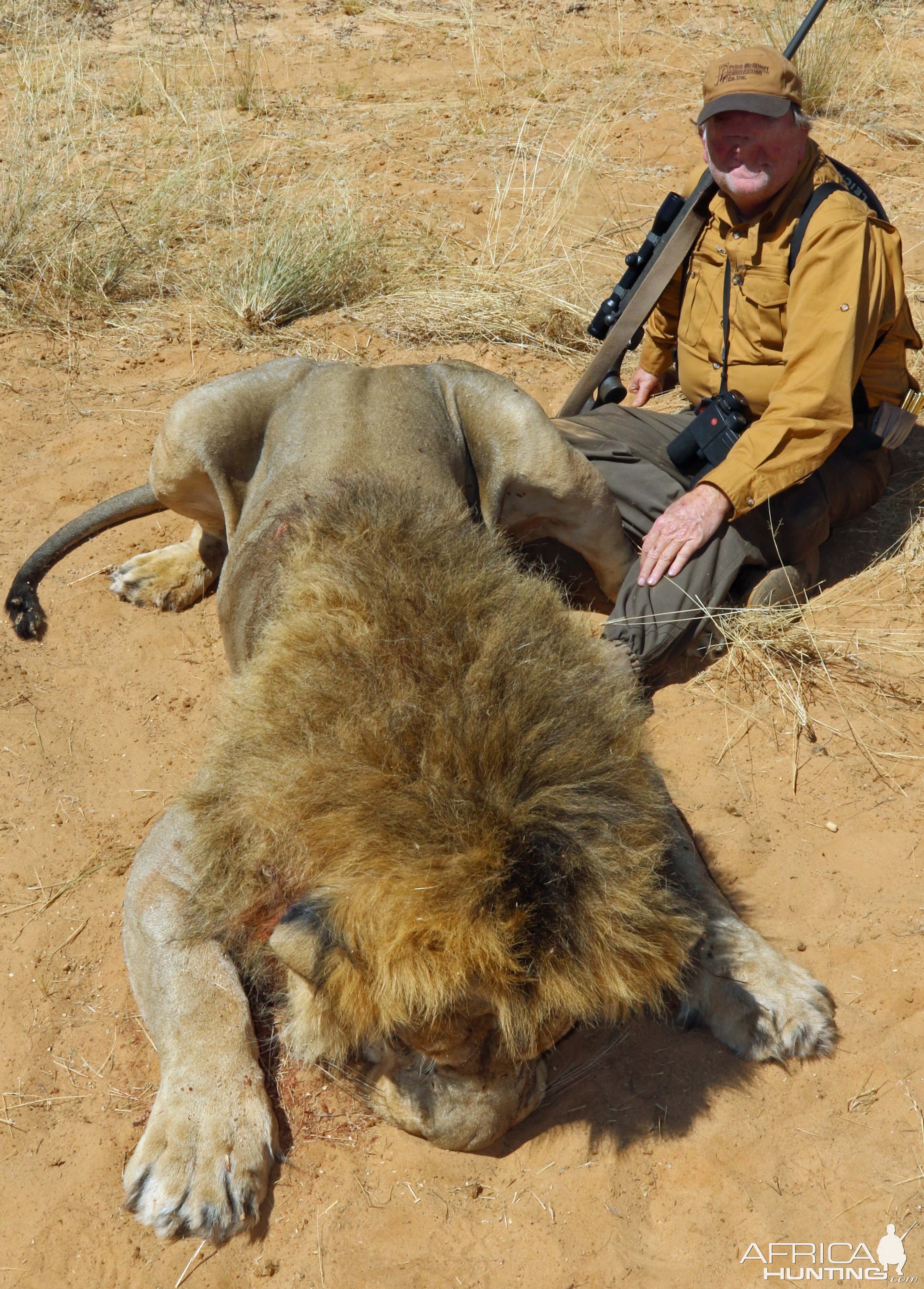 Permit approved by USFW for this lion, proof of enhancement was met, wild lion!