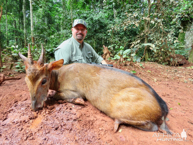 Peter’s Duikers Cameroon Hunt