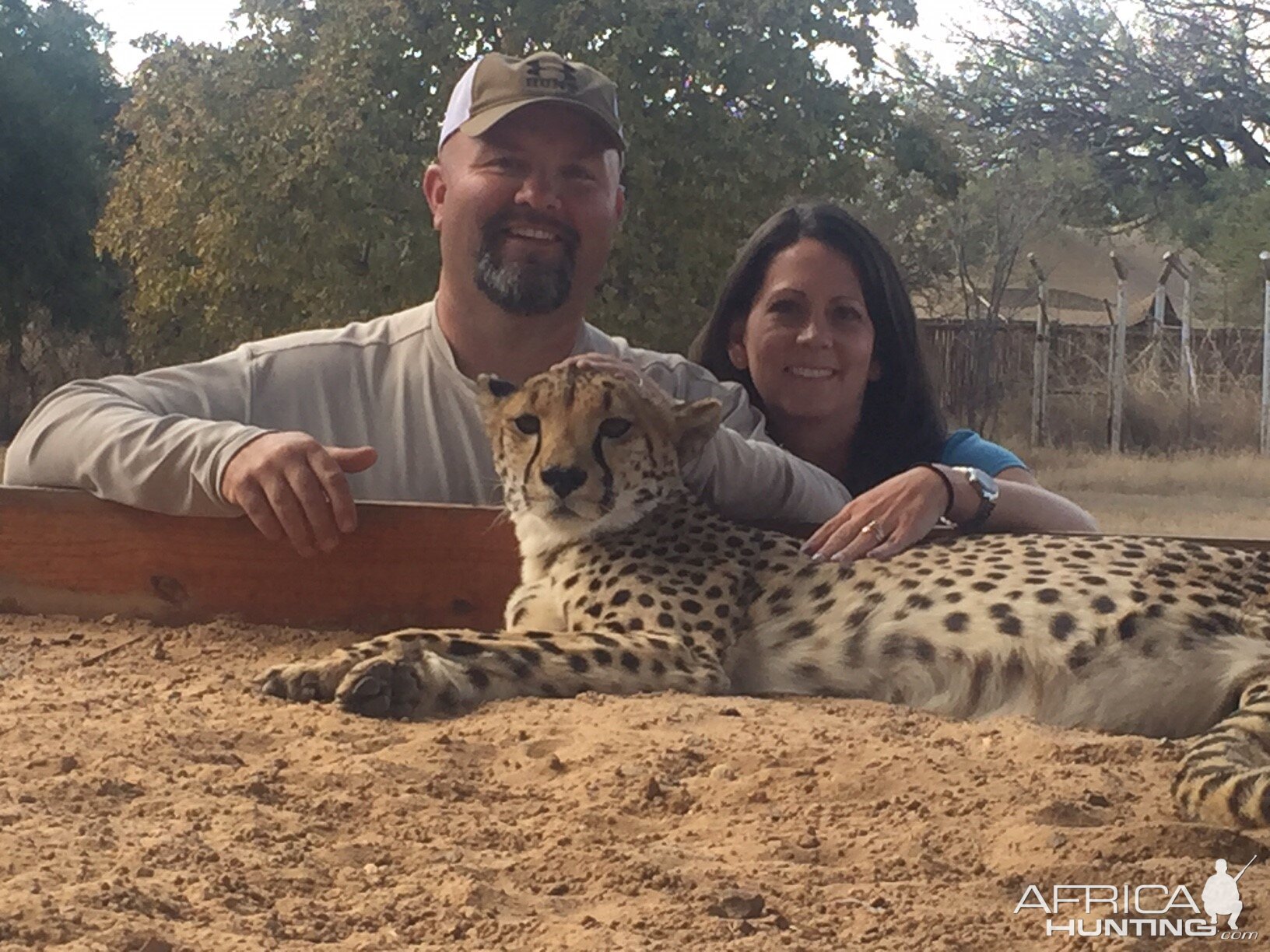 Petting a Cheetah