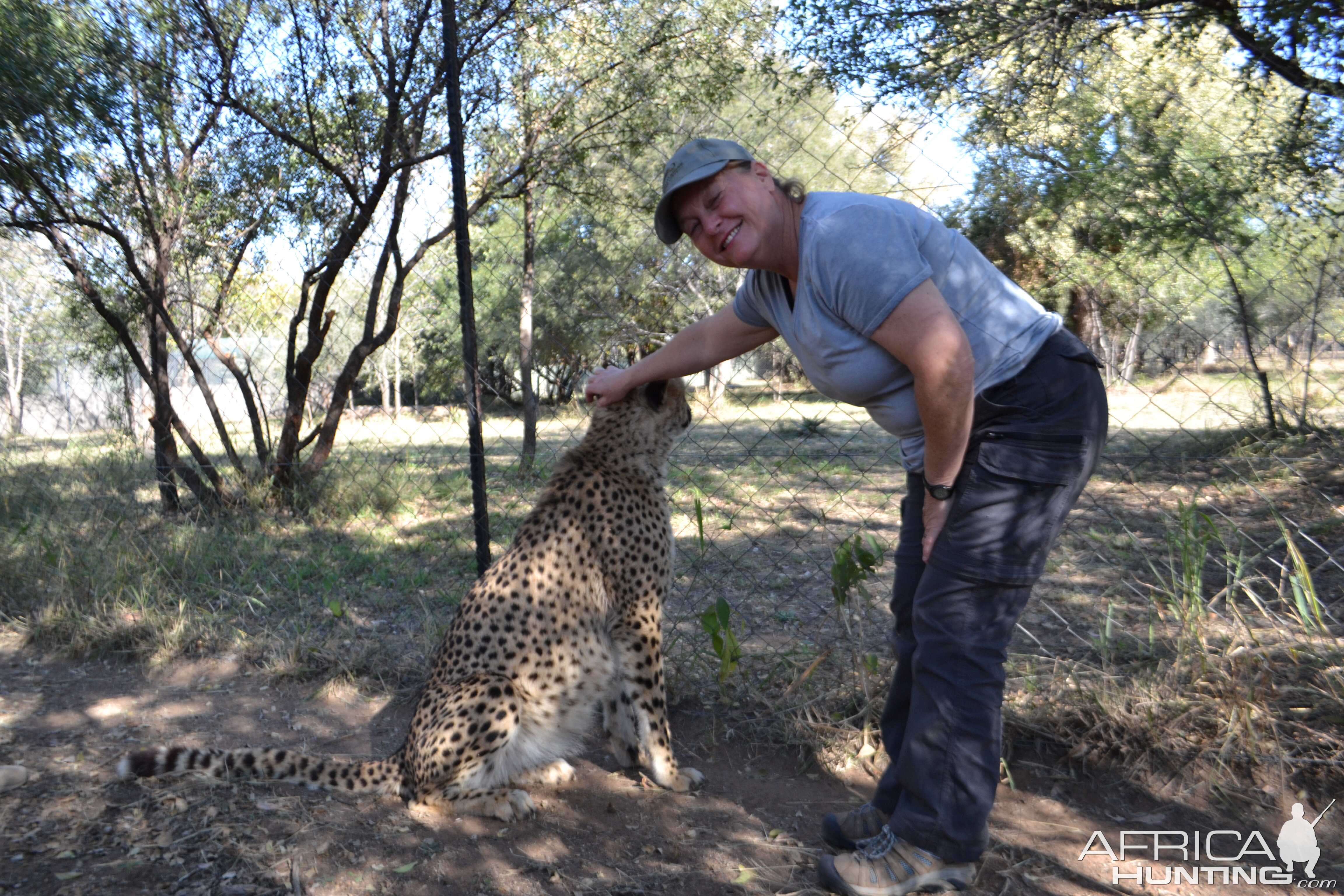 Petting Cheetahs