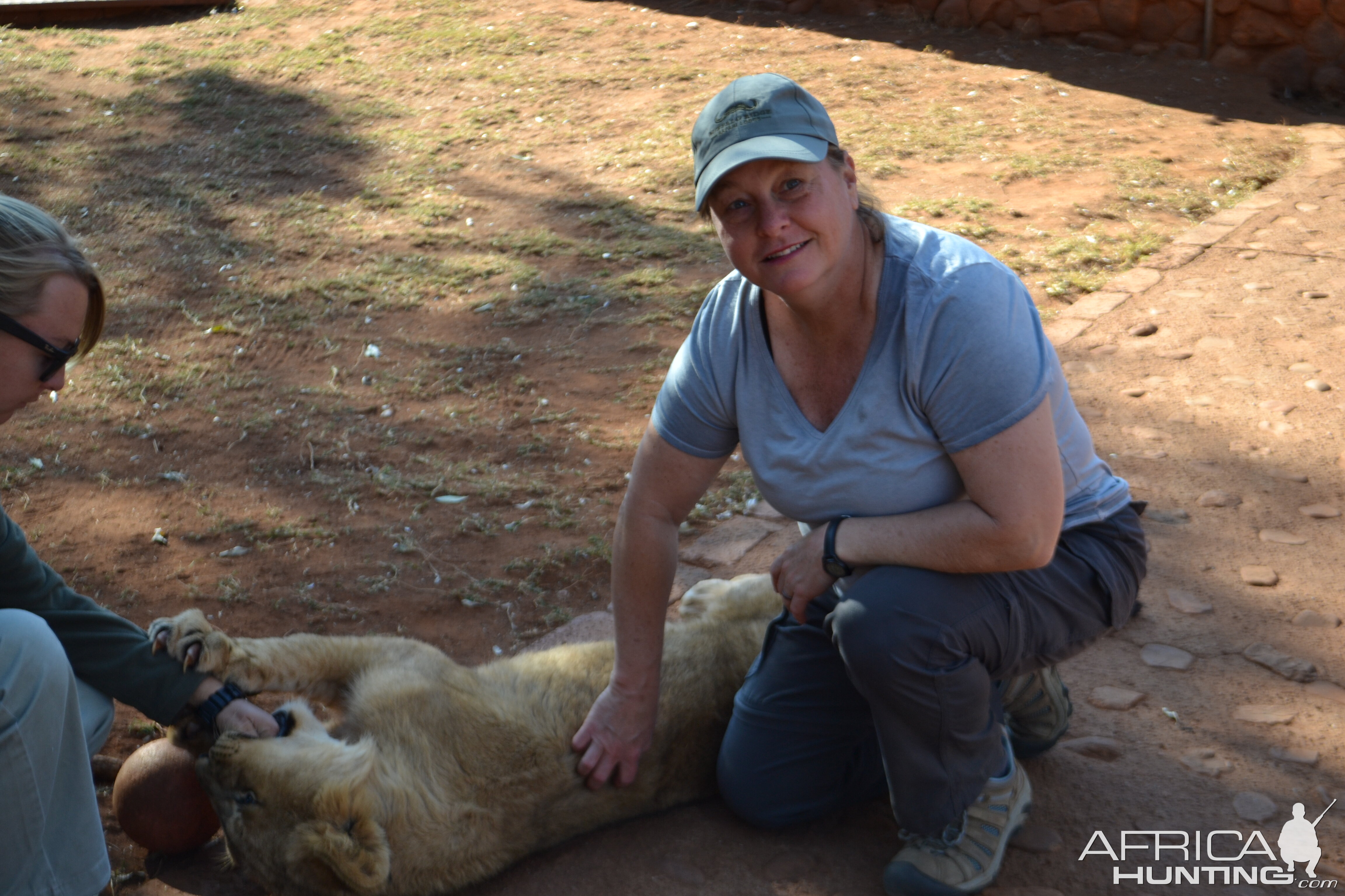 Petting Lion cubs