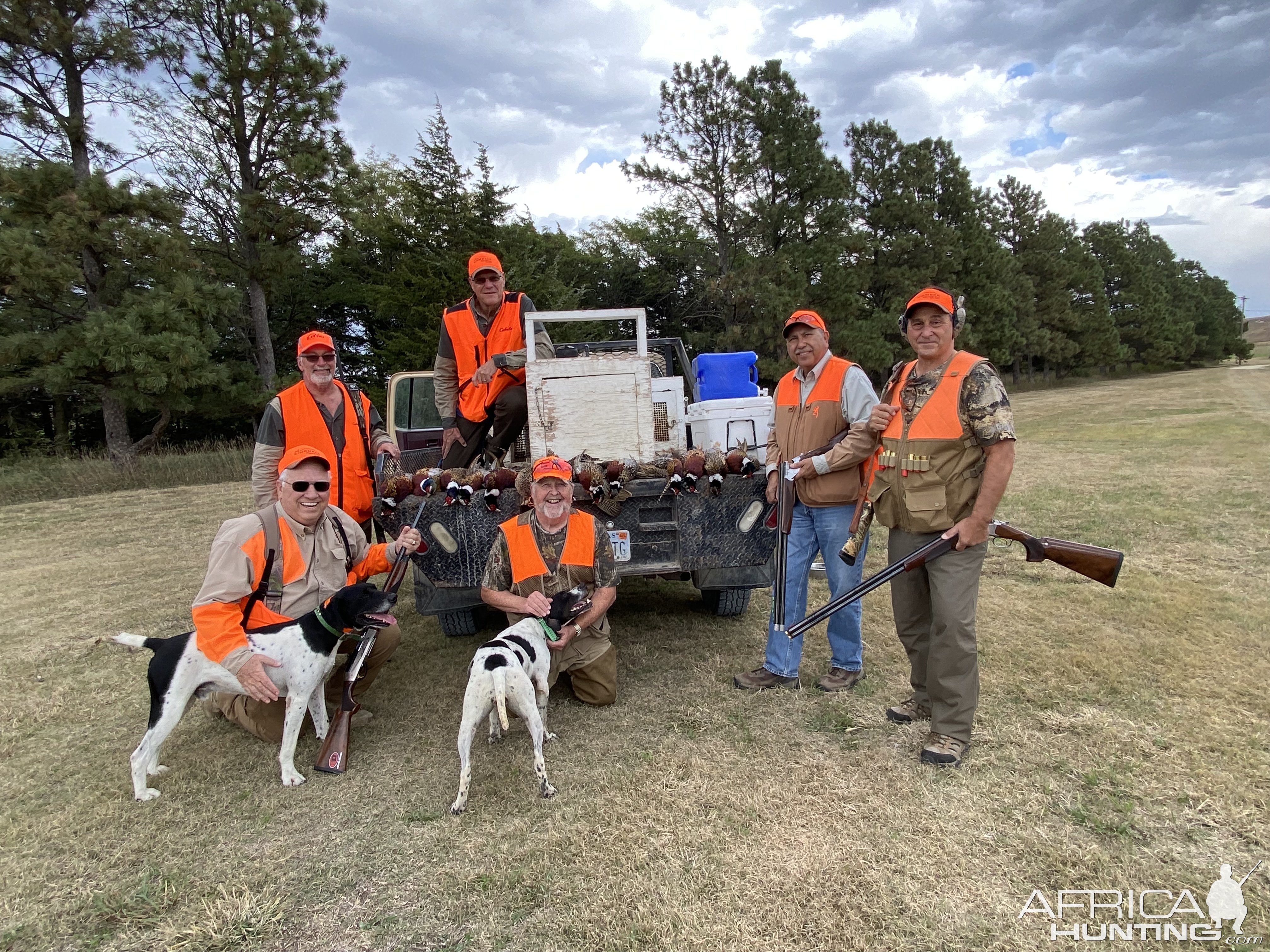 Pheasant & Chukar Hunting