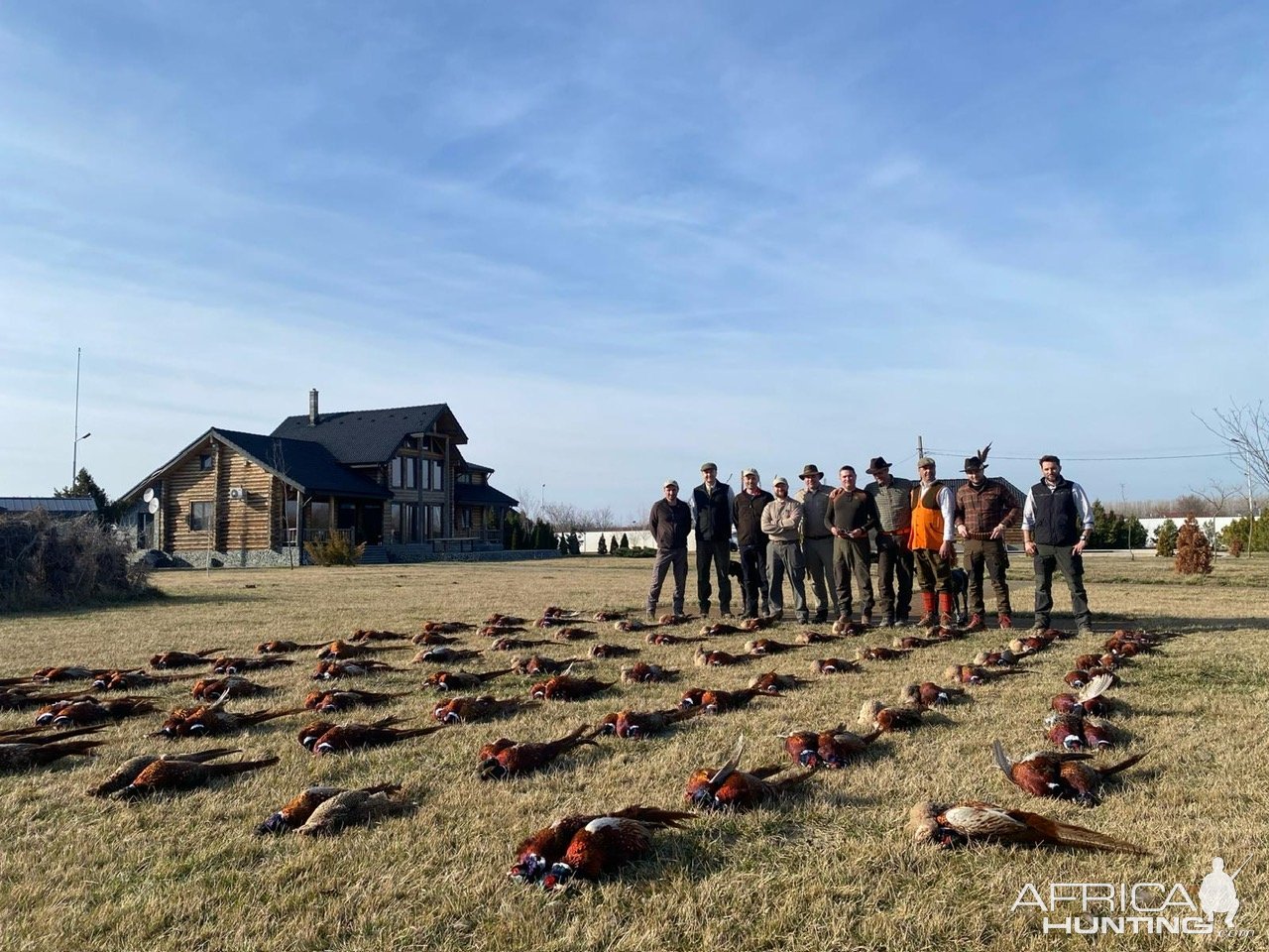 Pheasant Hunting Romania