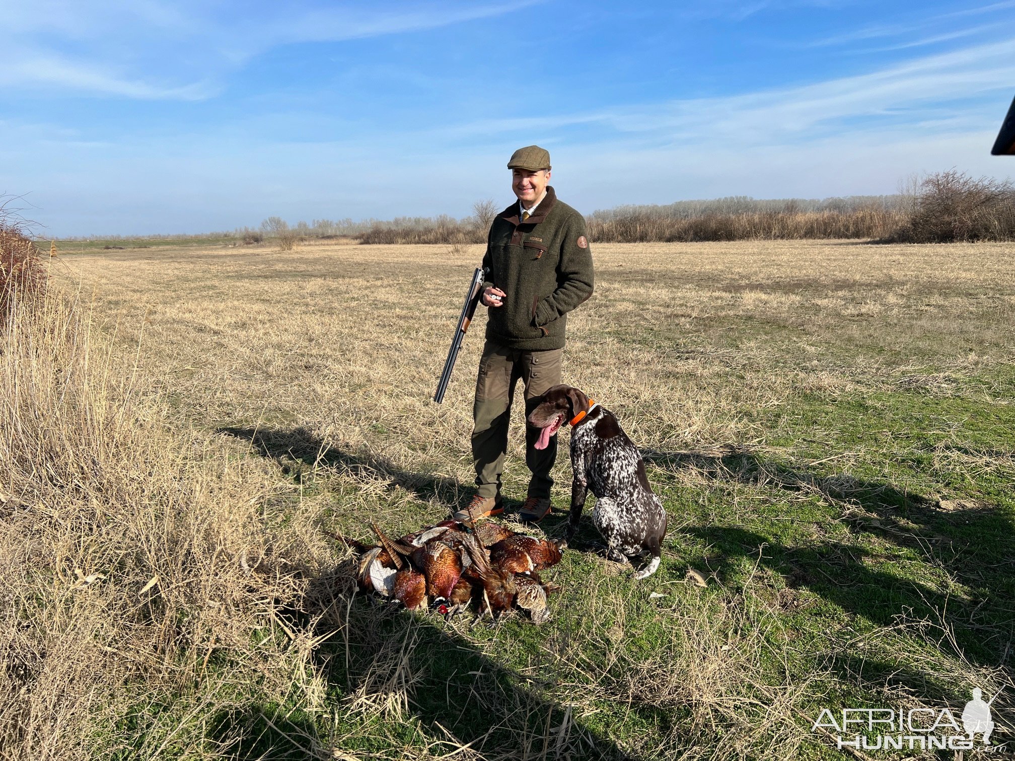 Pheasant Hunting Romania