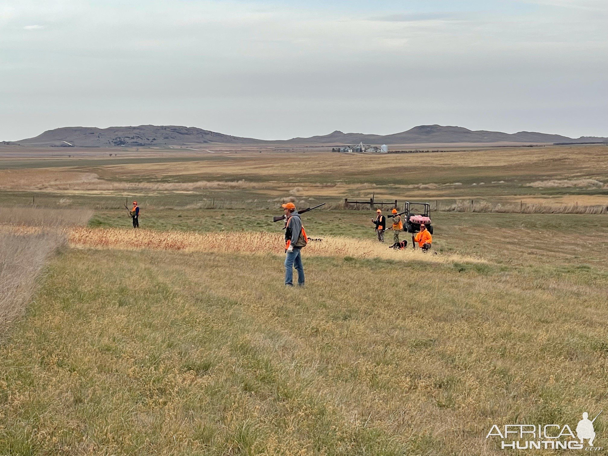 Pheasant Hunting