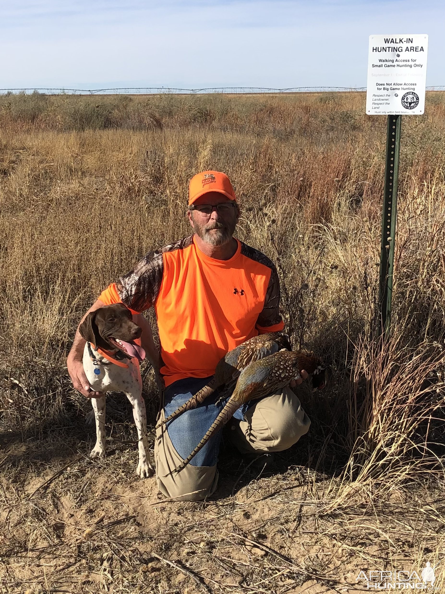 Pheasant Hunting