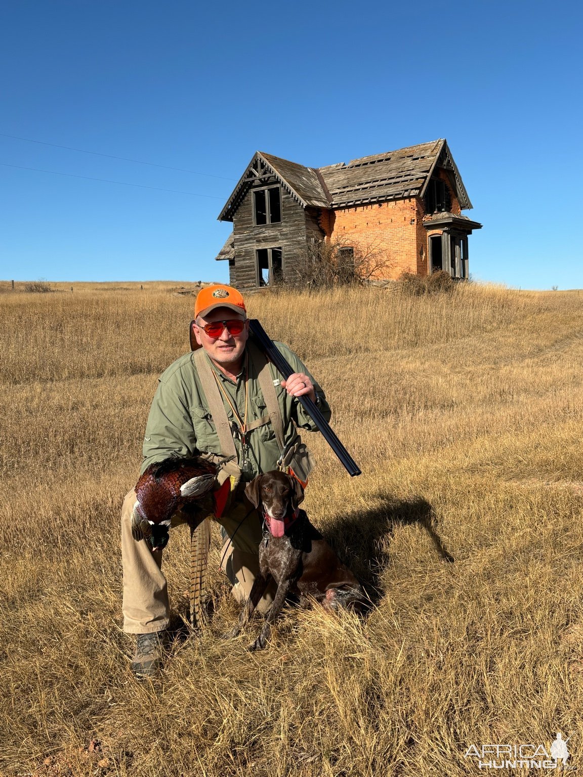 Pheasant Hunting