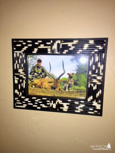 Photo Frame from Porcupine quills