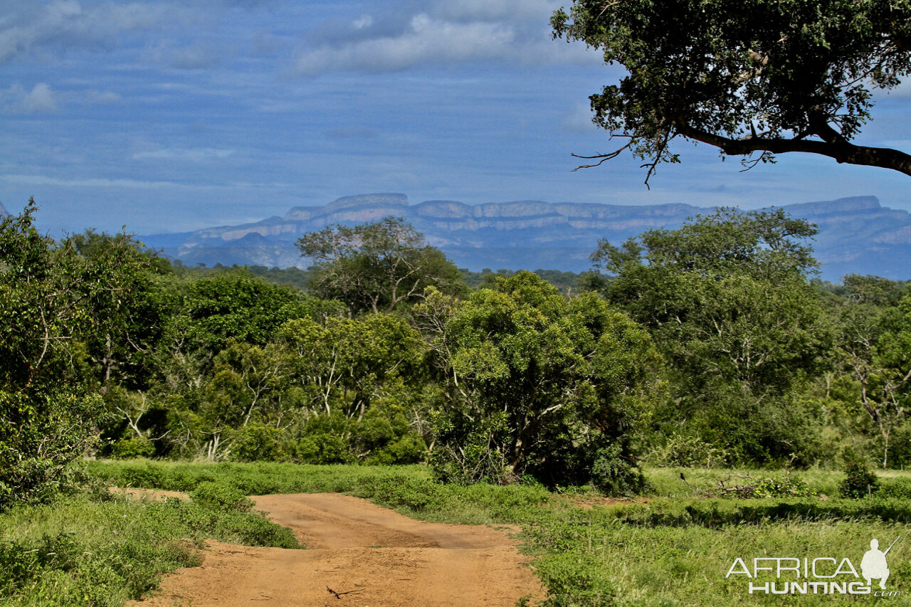 Photo Safari in South Africa