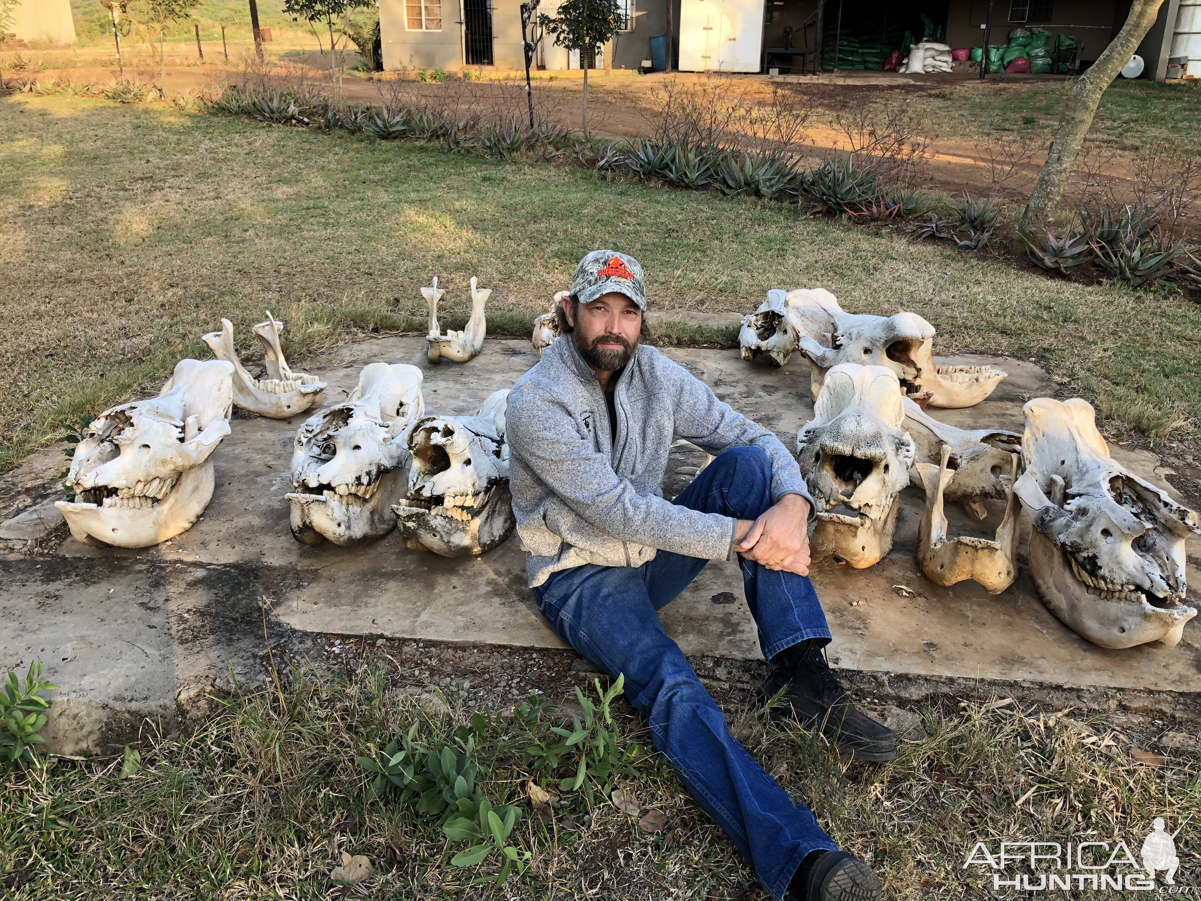 Pic of poached rhino skulls