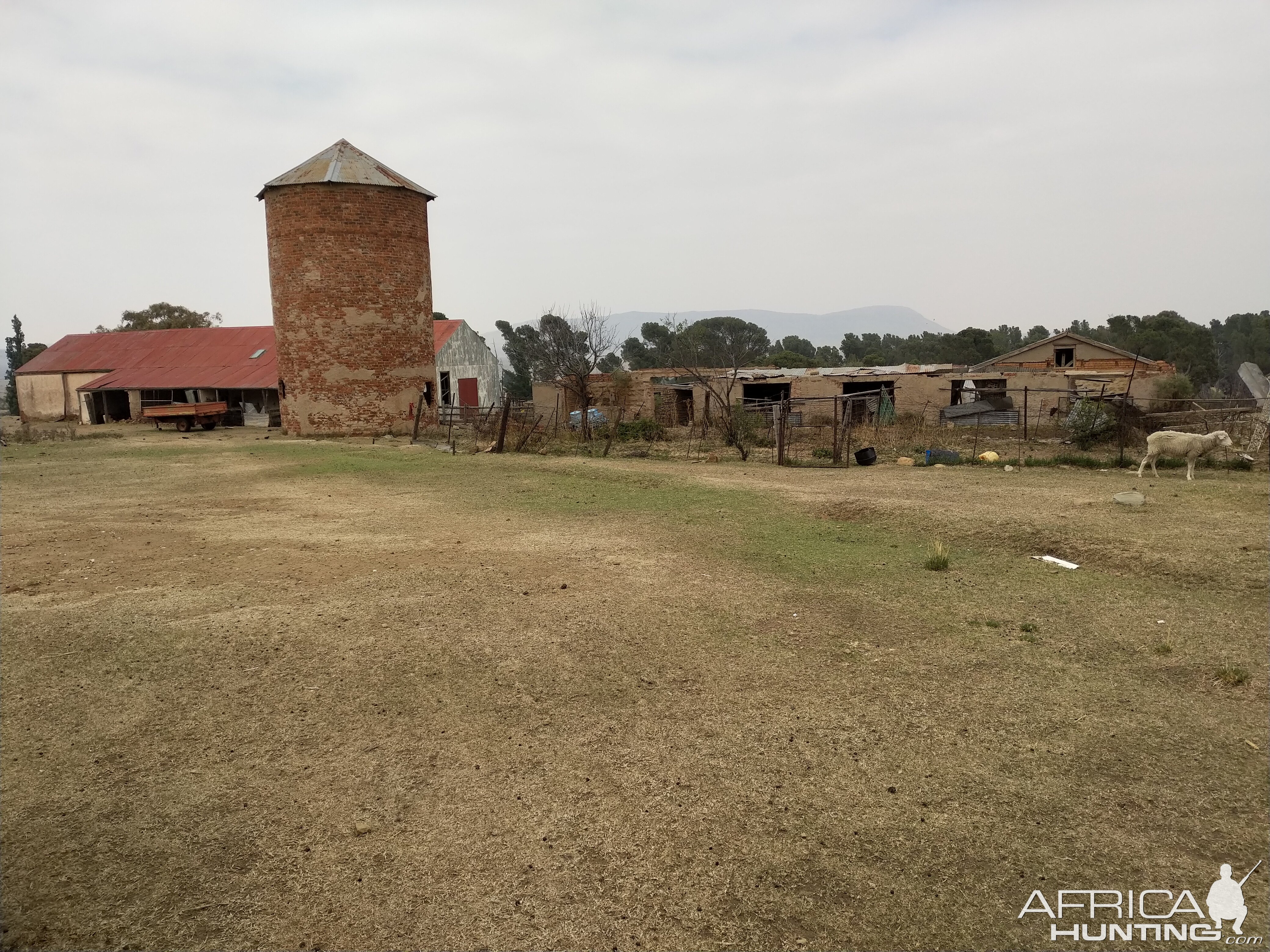 Picture of the old farmyard