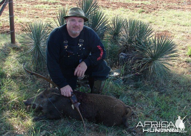 Pig Bowhunting