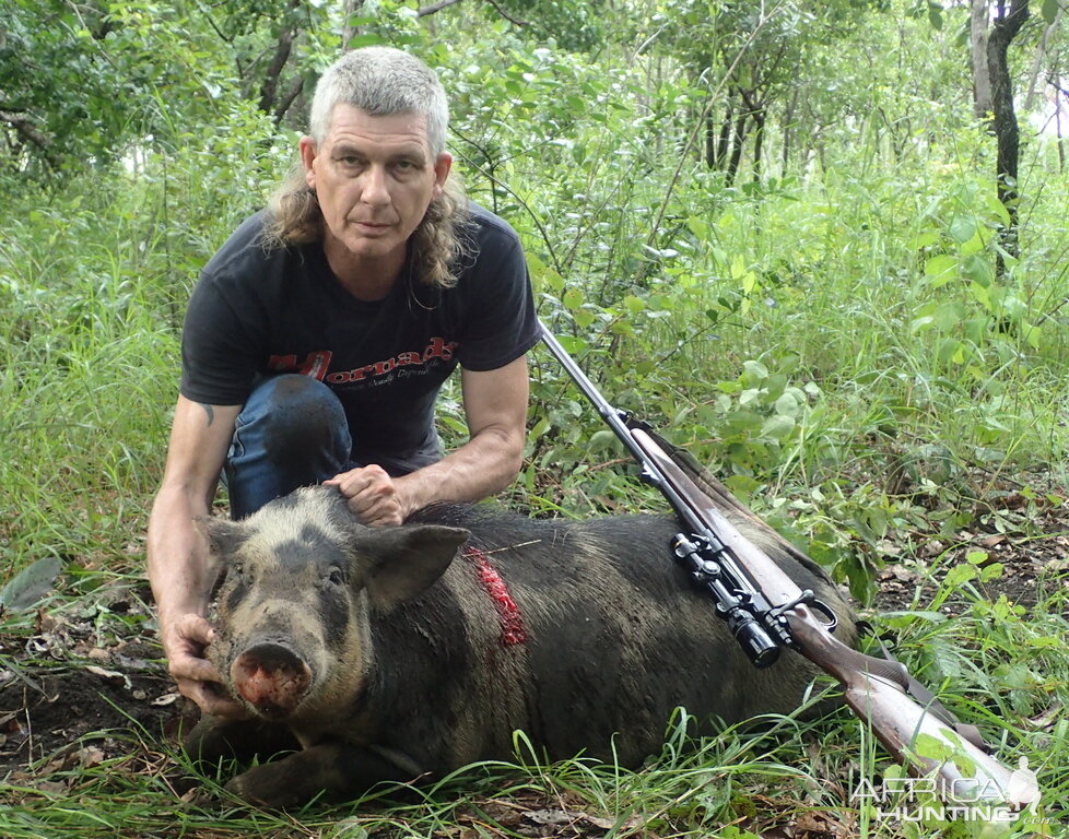 Pig Hunt Australia