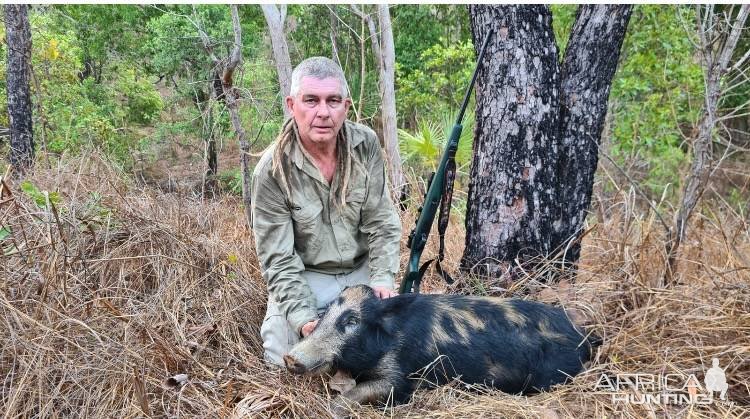 Pig Hunt Australia