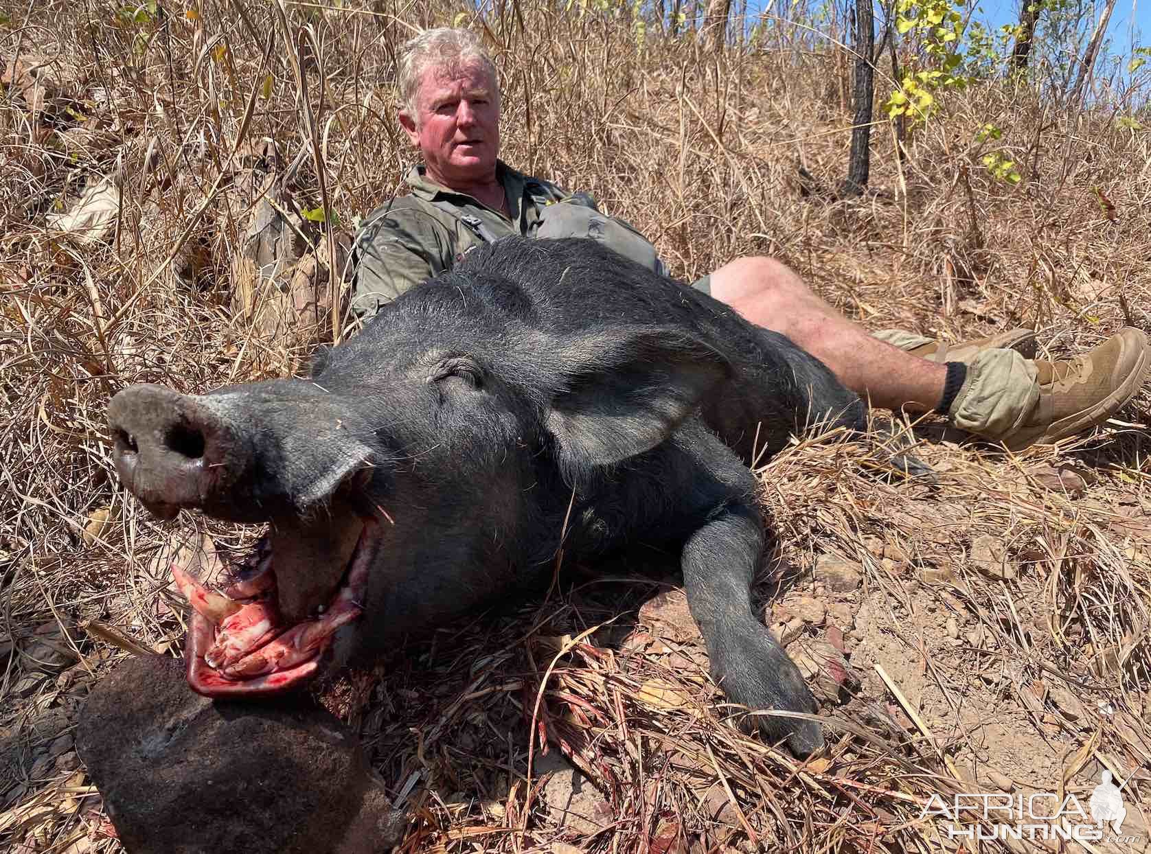 Pig Hunt Northern Territory Australia