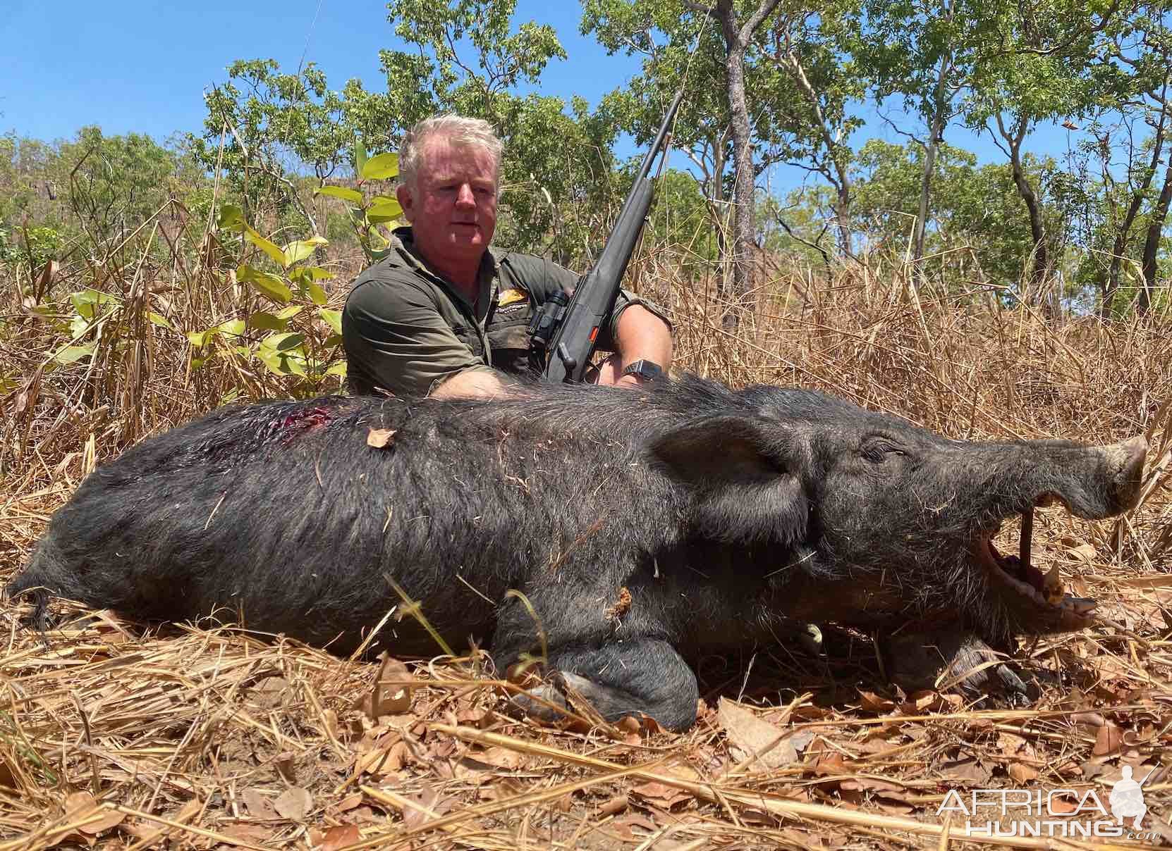 Pig Hunt Northern Territory Australia