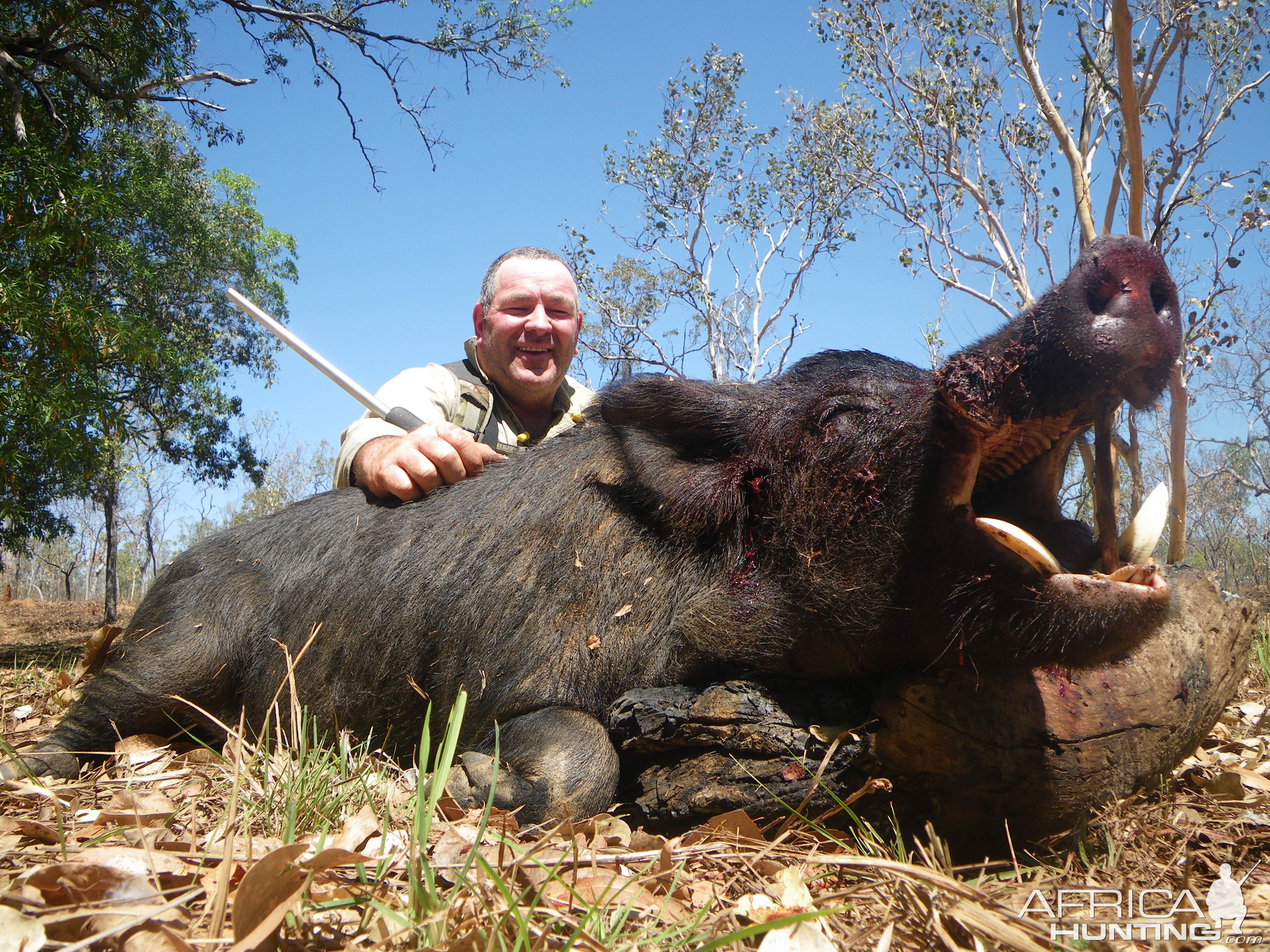 Pig Hunting Australia