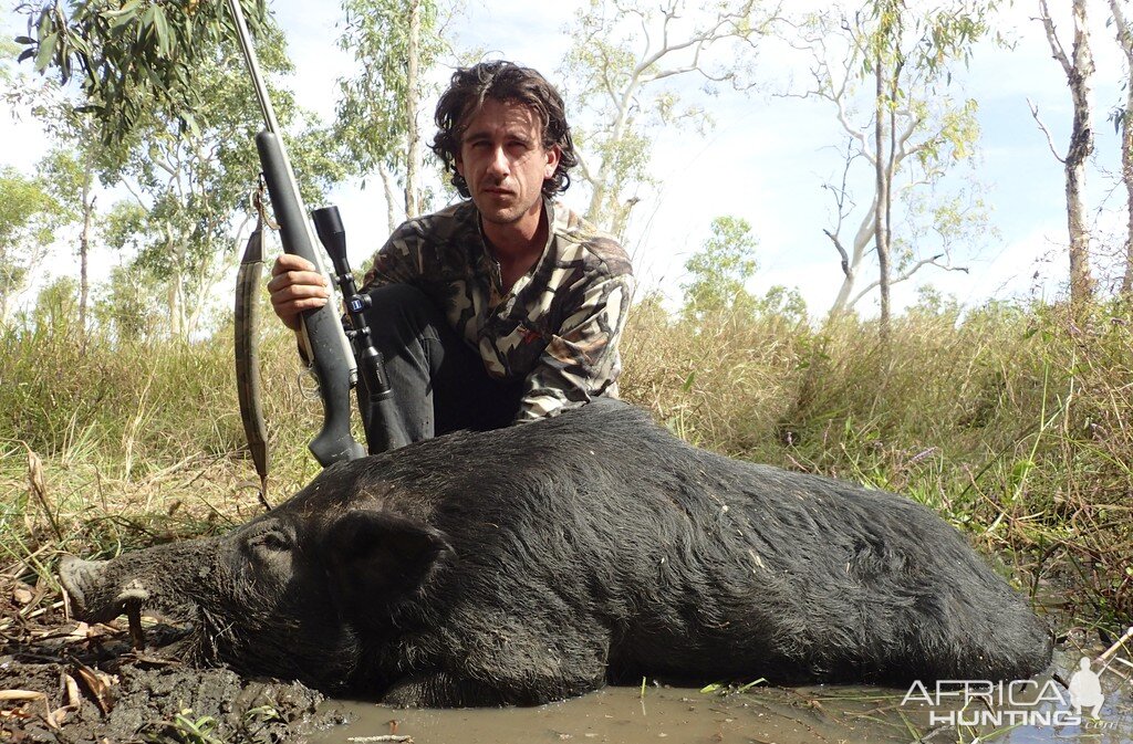 Pig Hunting Australia