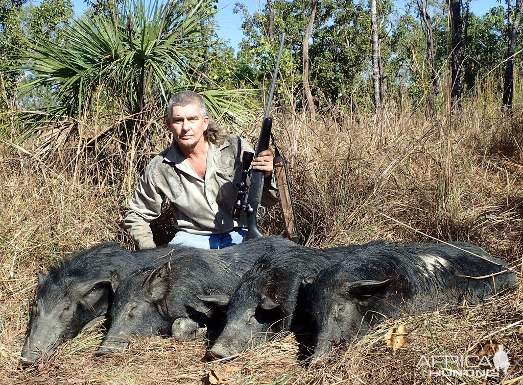 Pig Hunting Australia