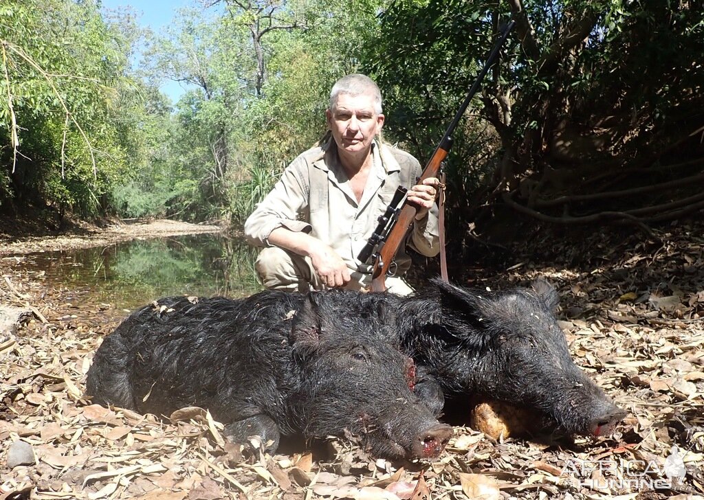 Pig Hunting Australia