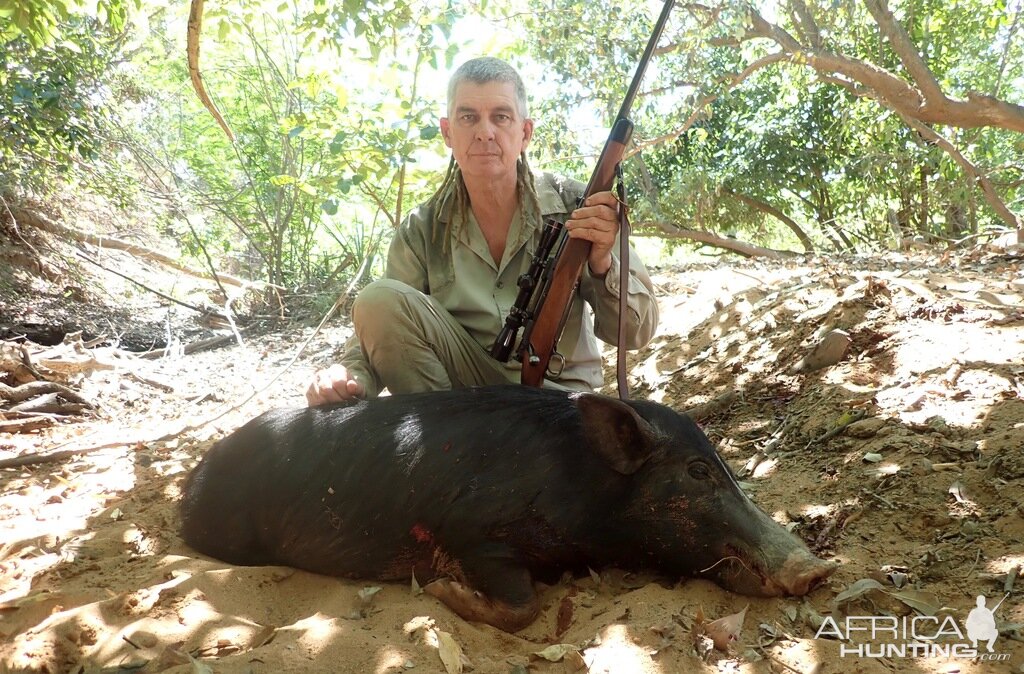 Pig Hunting Australia