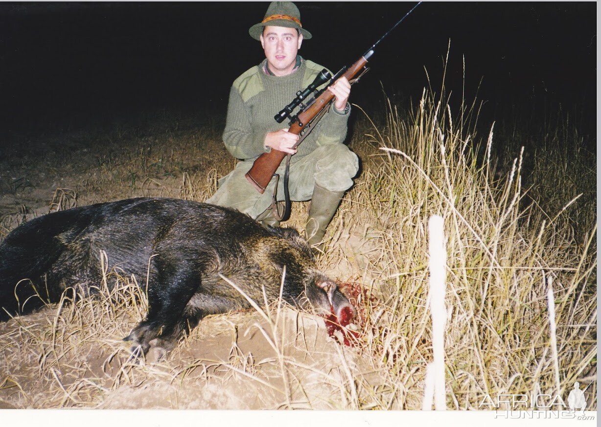 Pig Hunting