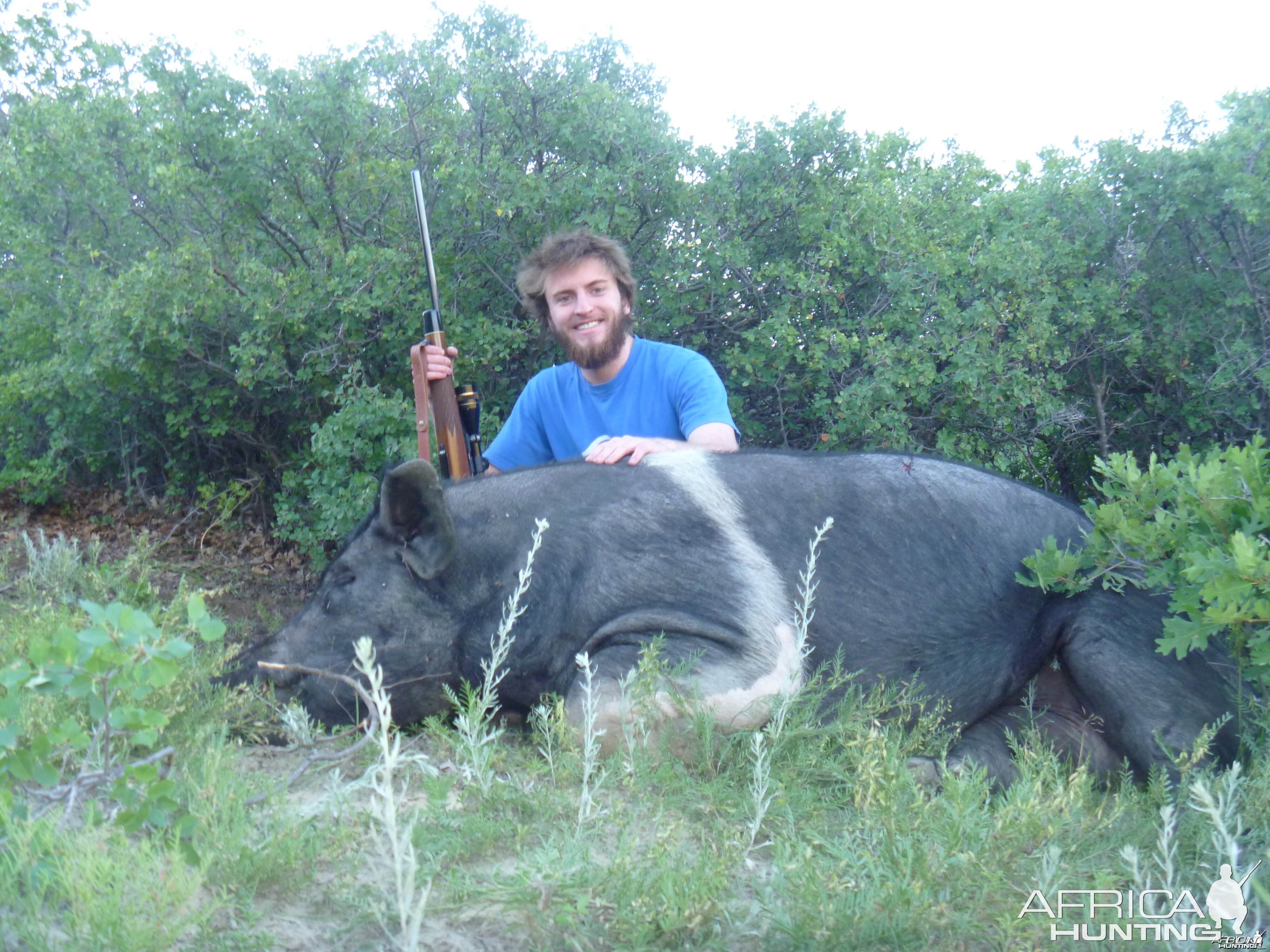 Pig Hunting