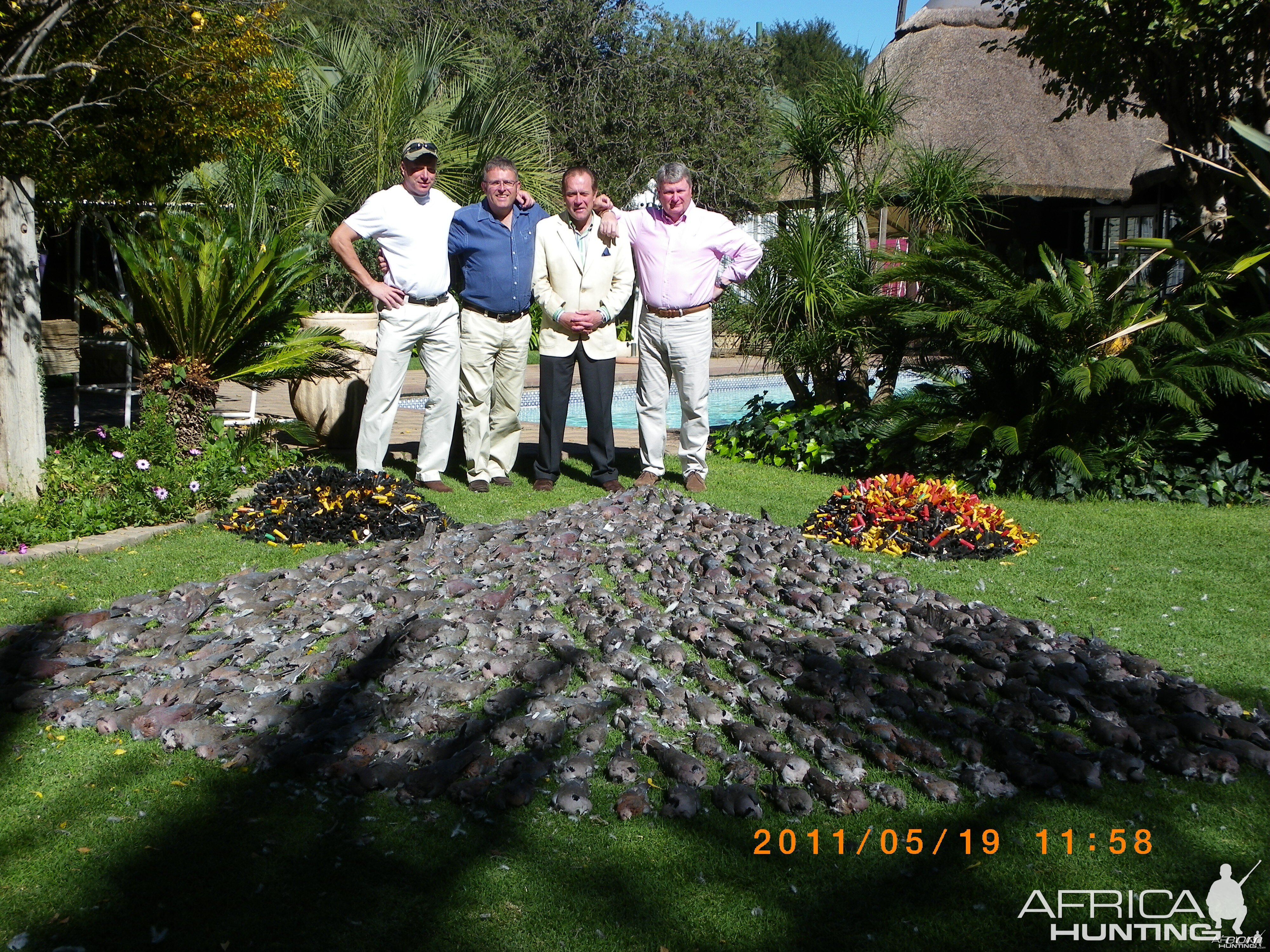 Pigeon and  Doves shooting Free State South Africa