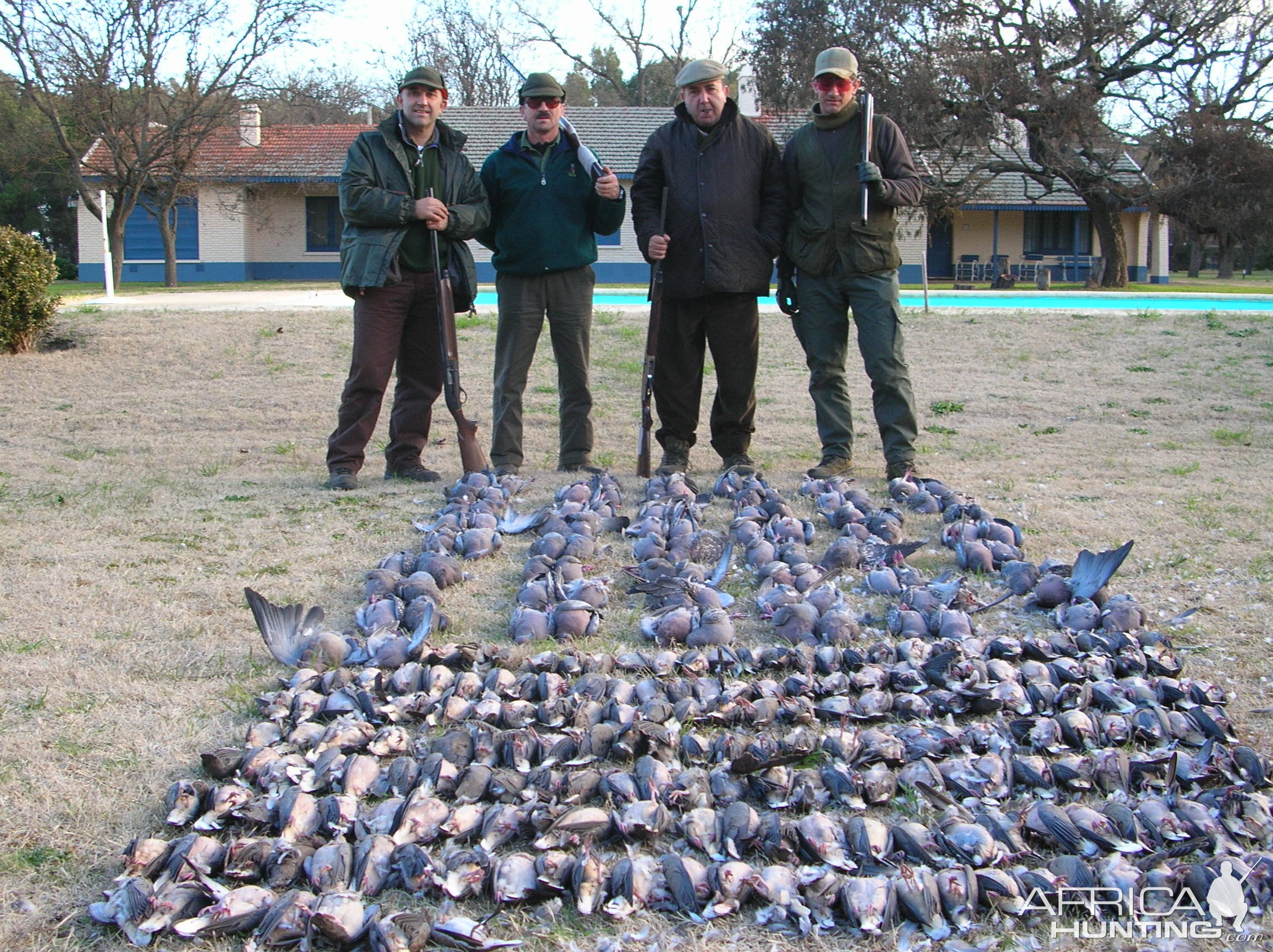 Pigeon & Dove Hunt Argentina