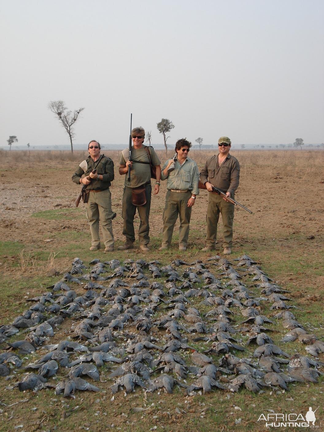 Pigeon Hunt Argentina