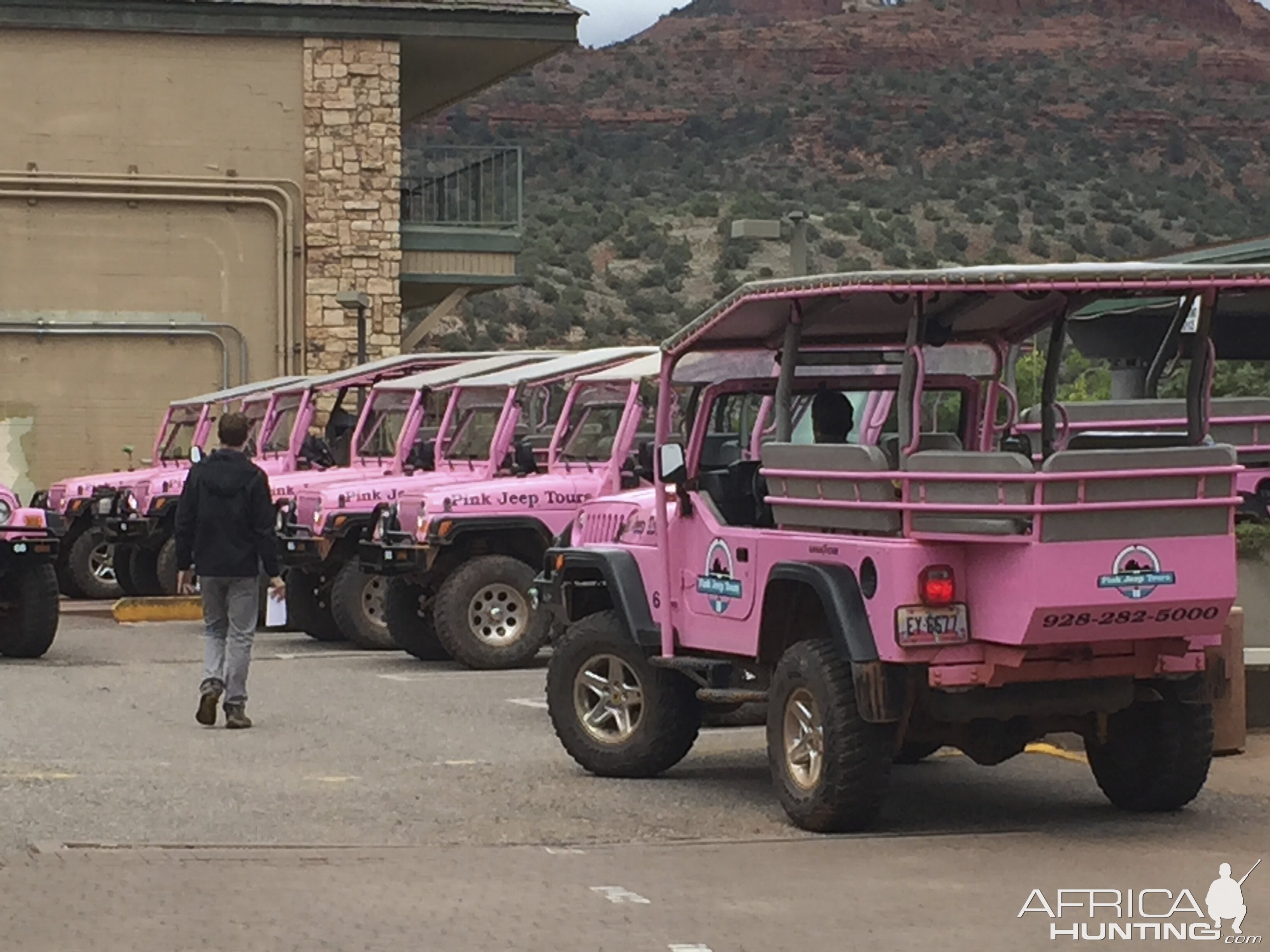 Pink Jeep