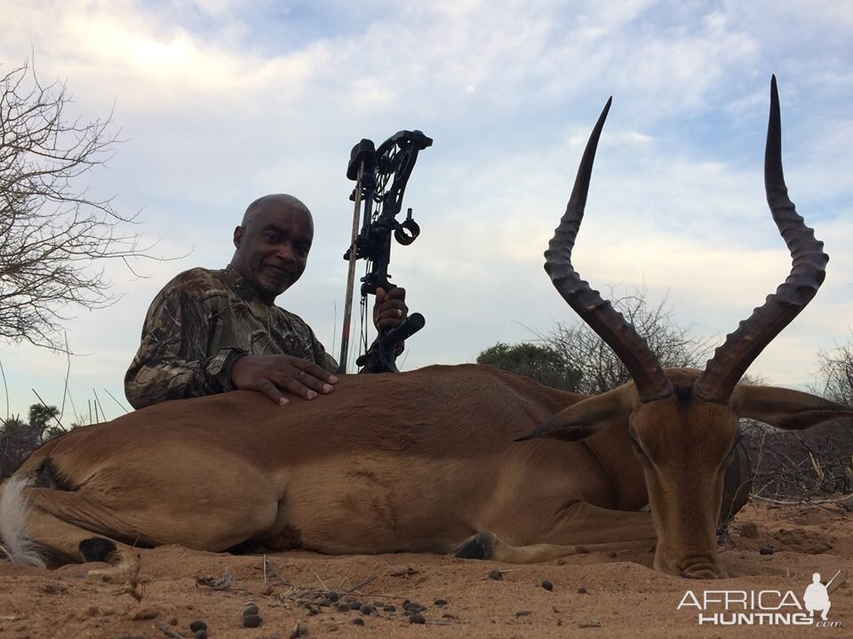 Pit hunting Impala Ram