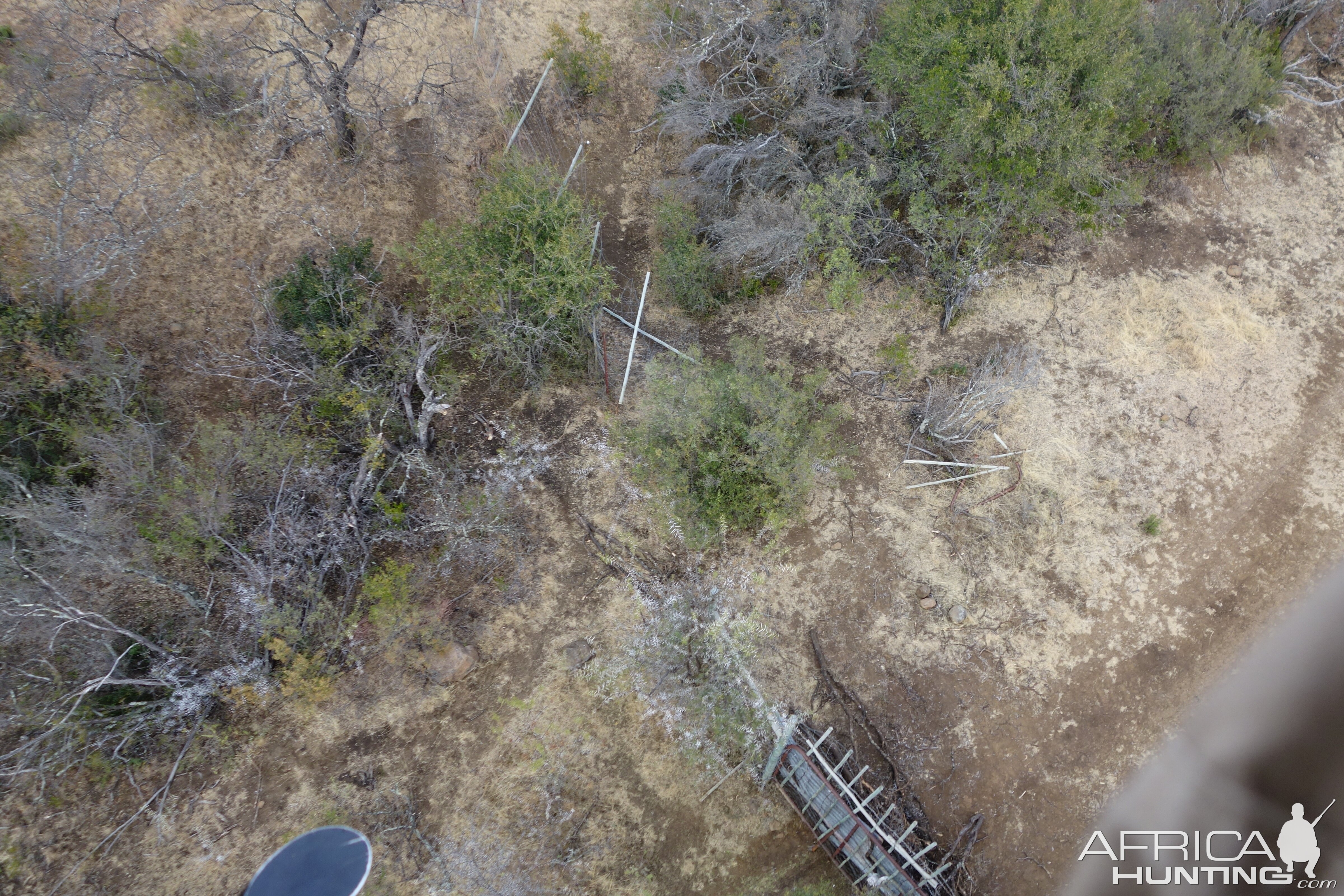 Place where the rhino tore through the fence