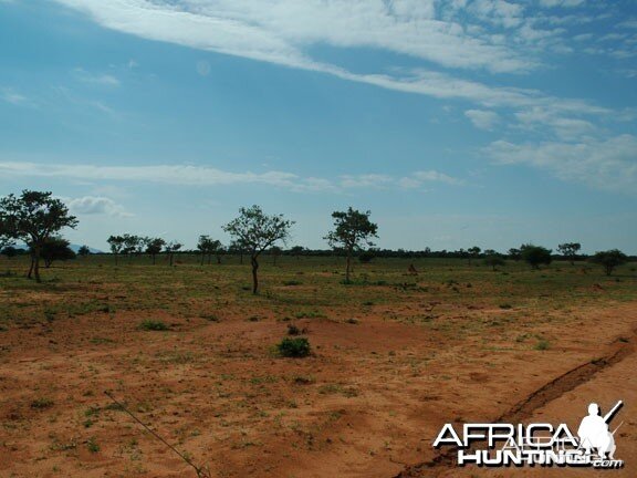 Plain in Namibia