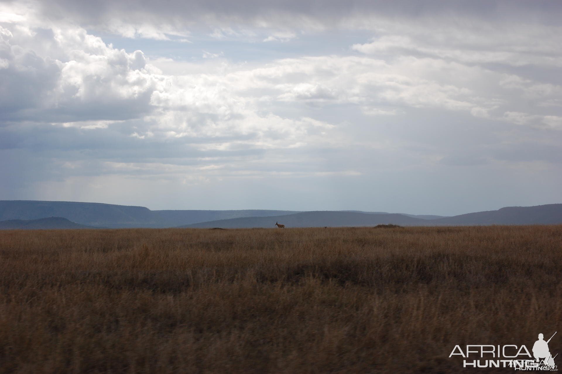 Plain Tanzania